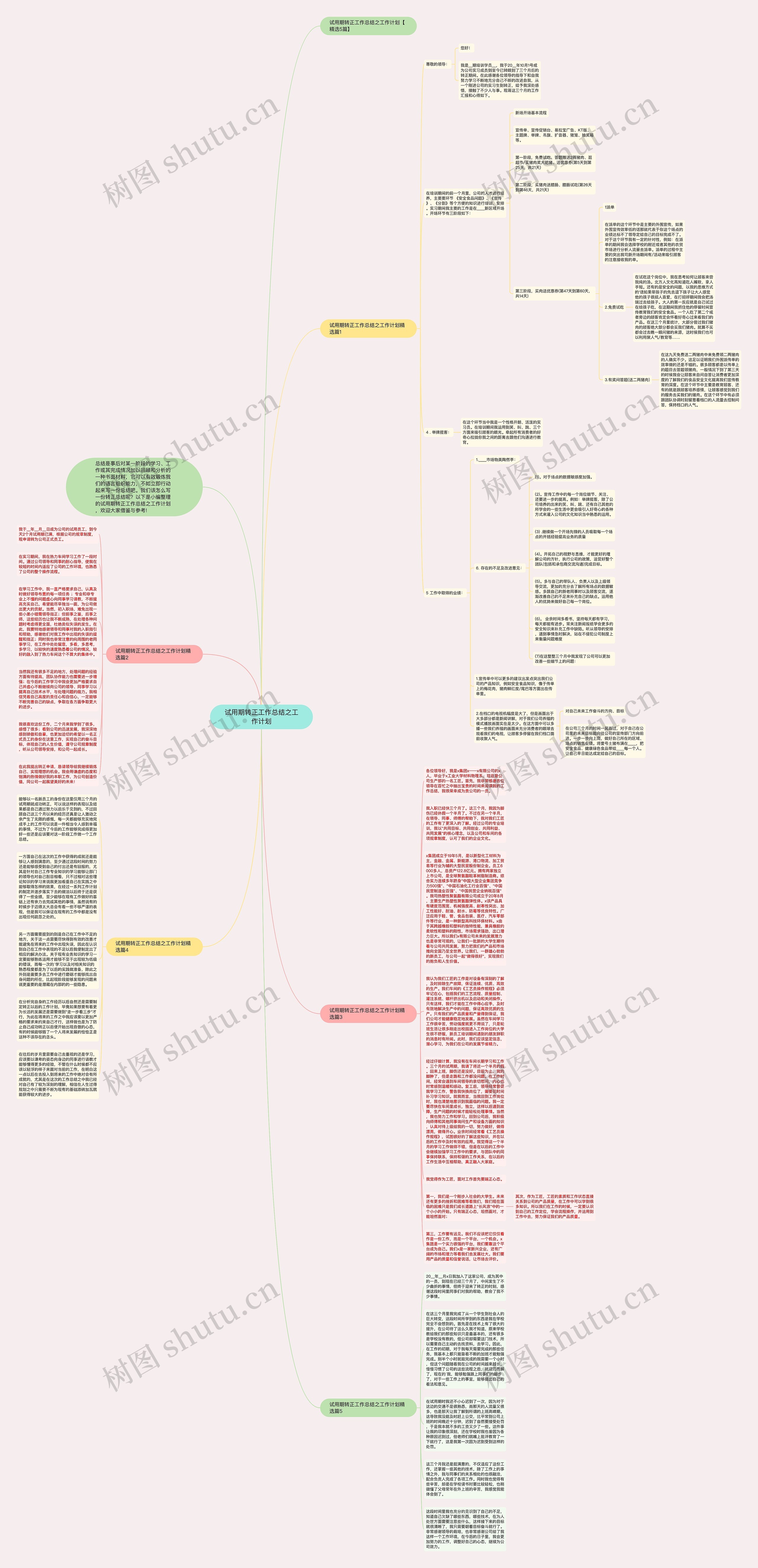 试用期转正工作总结之工作计划思维导图