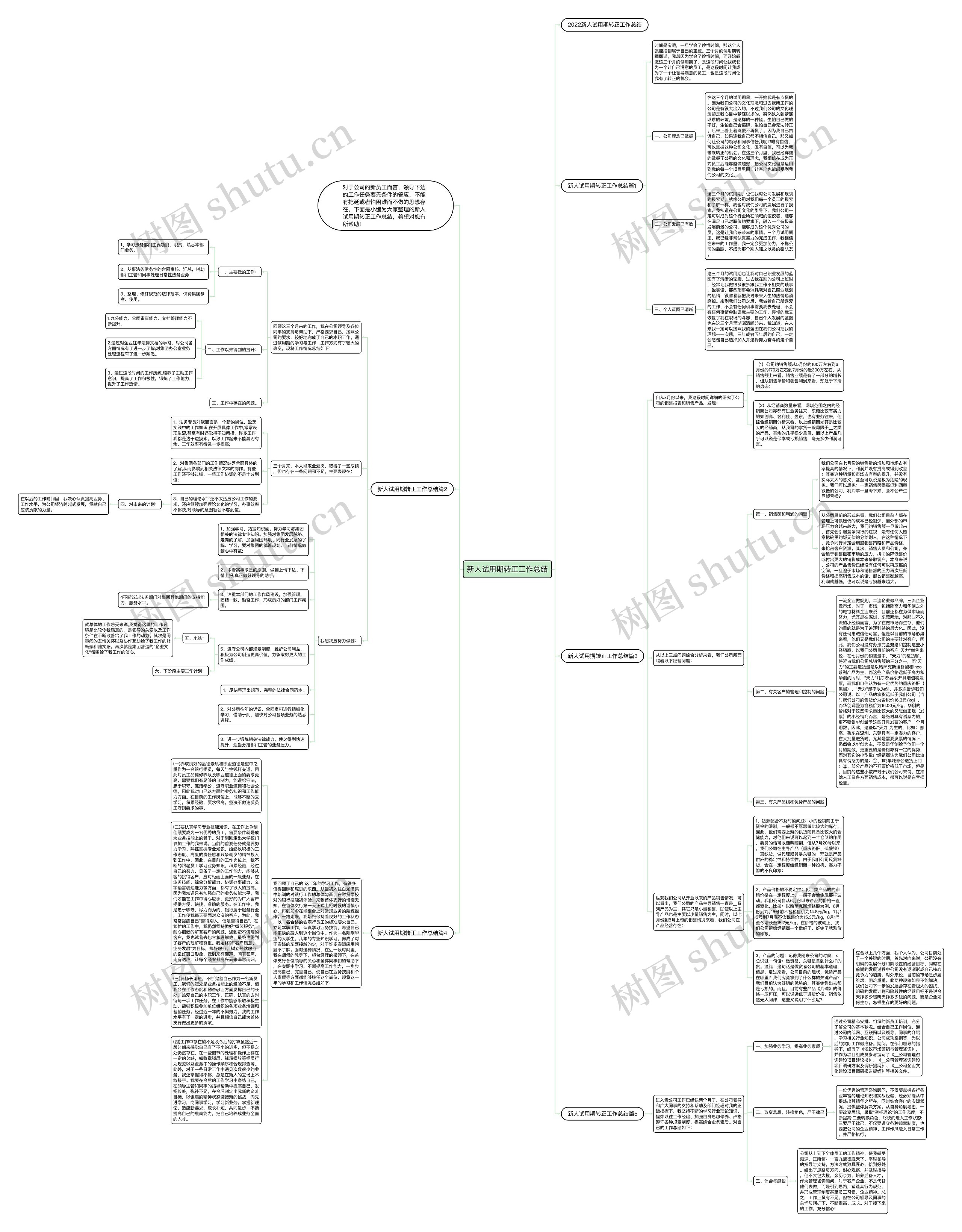 新人试用期转正工作总结