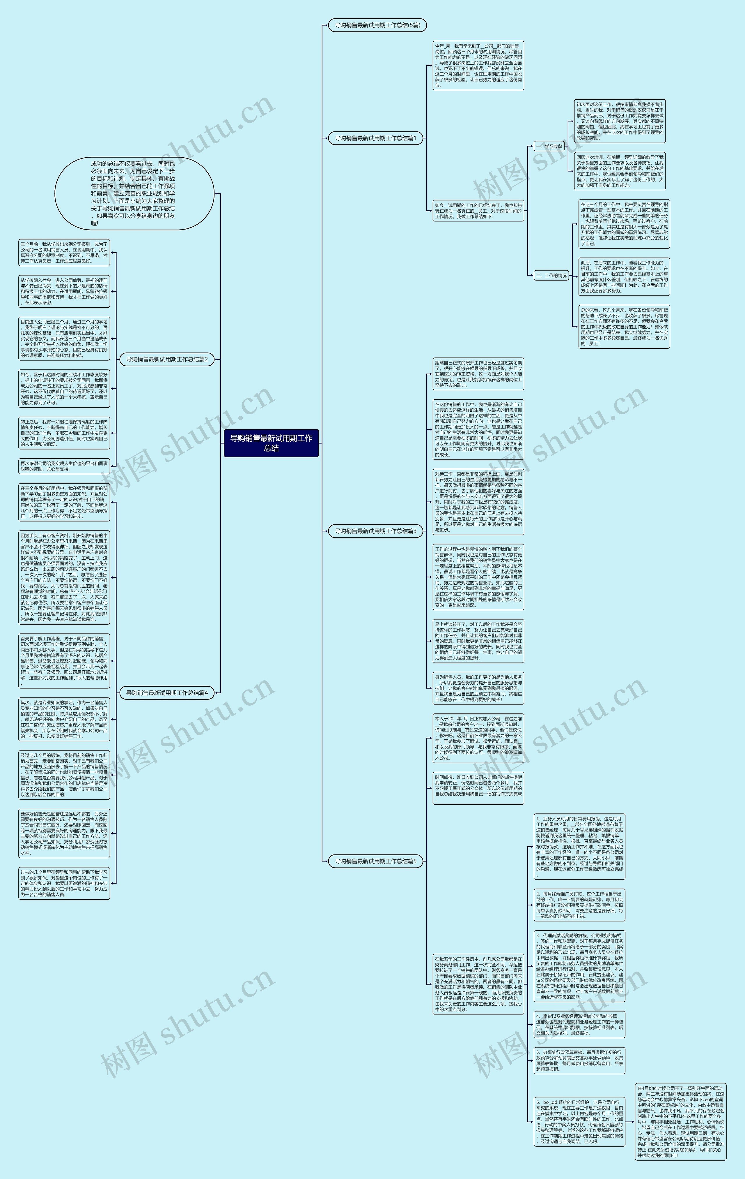 导购销售最新试用期工作总结思维导图