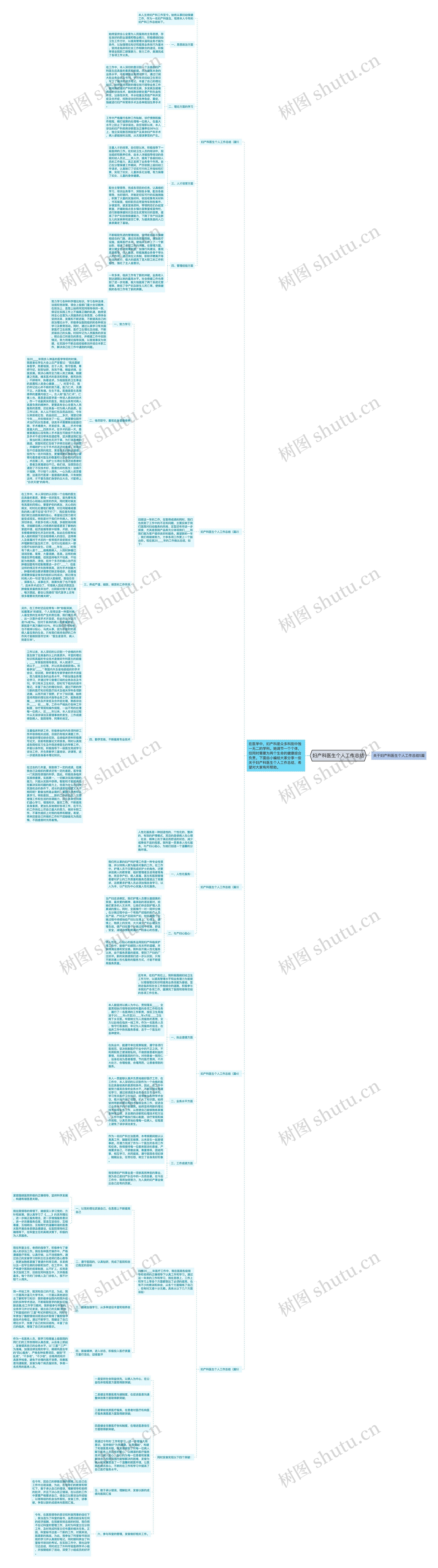 妇产科医生个人工作总结思维导图