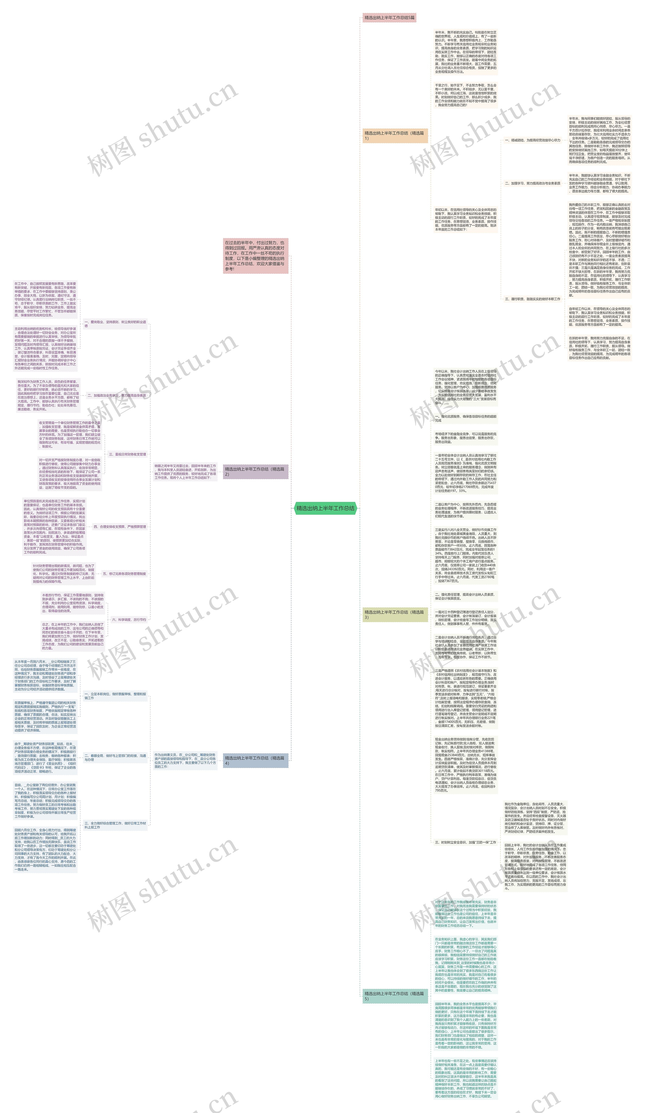 精选出纳上半年工作总结思维导图