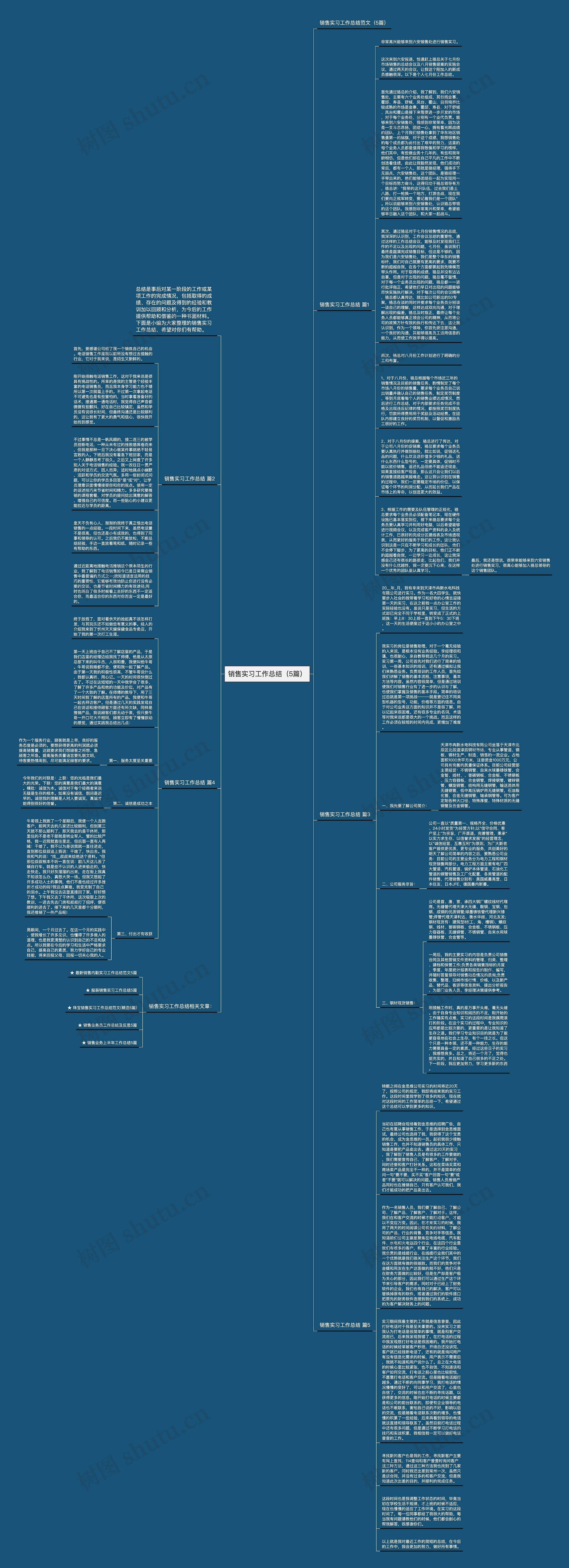 销售实习工作总结（5篇）思维导图