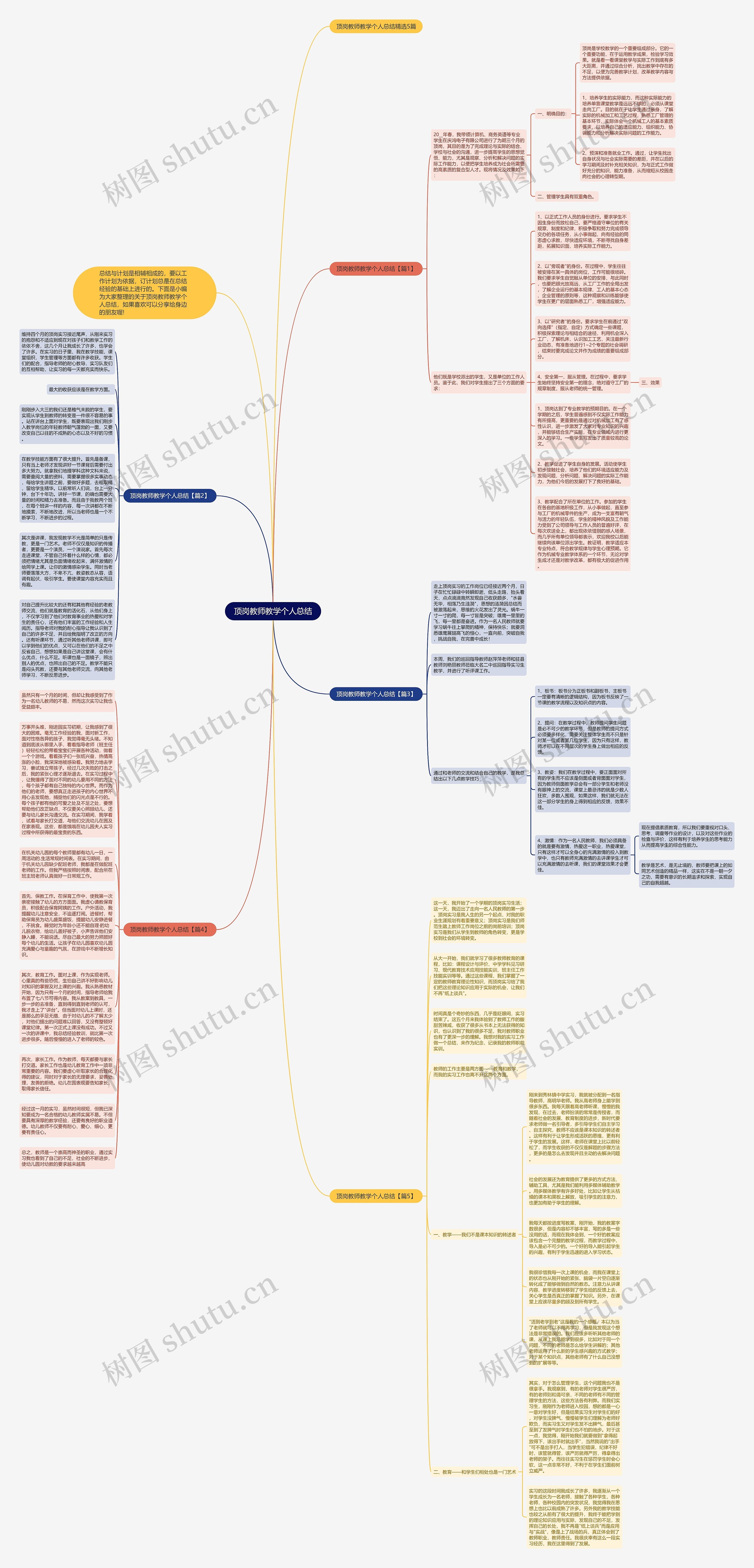 顶岗教师教学个人总结思维导图