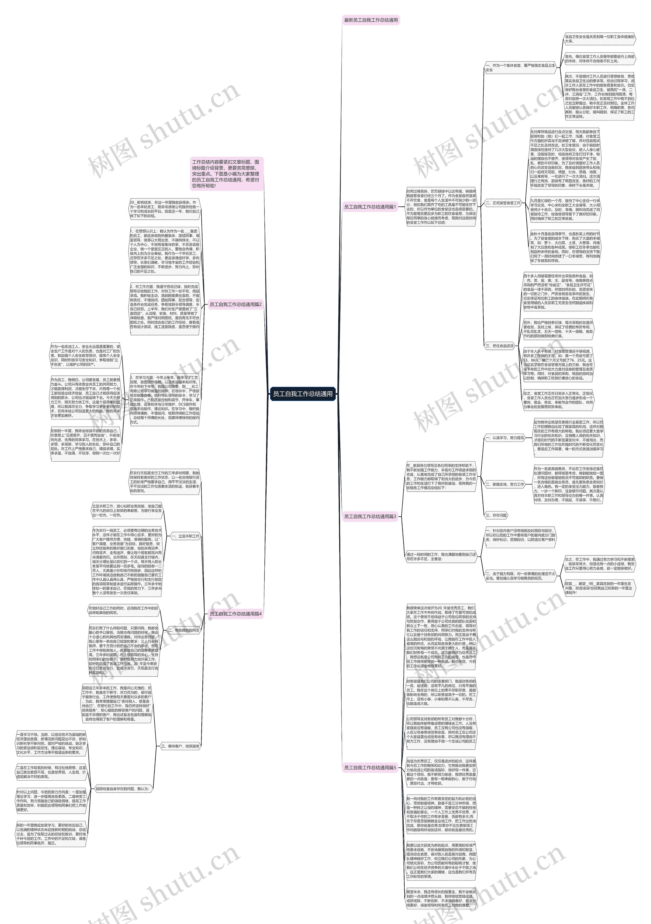 员工自我工作总结通用思维导图