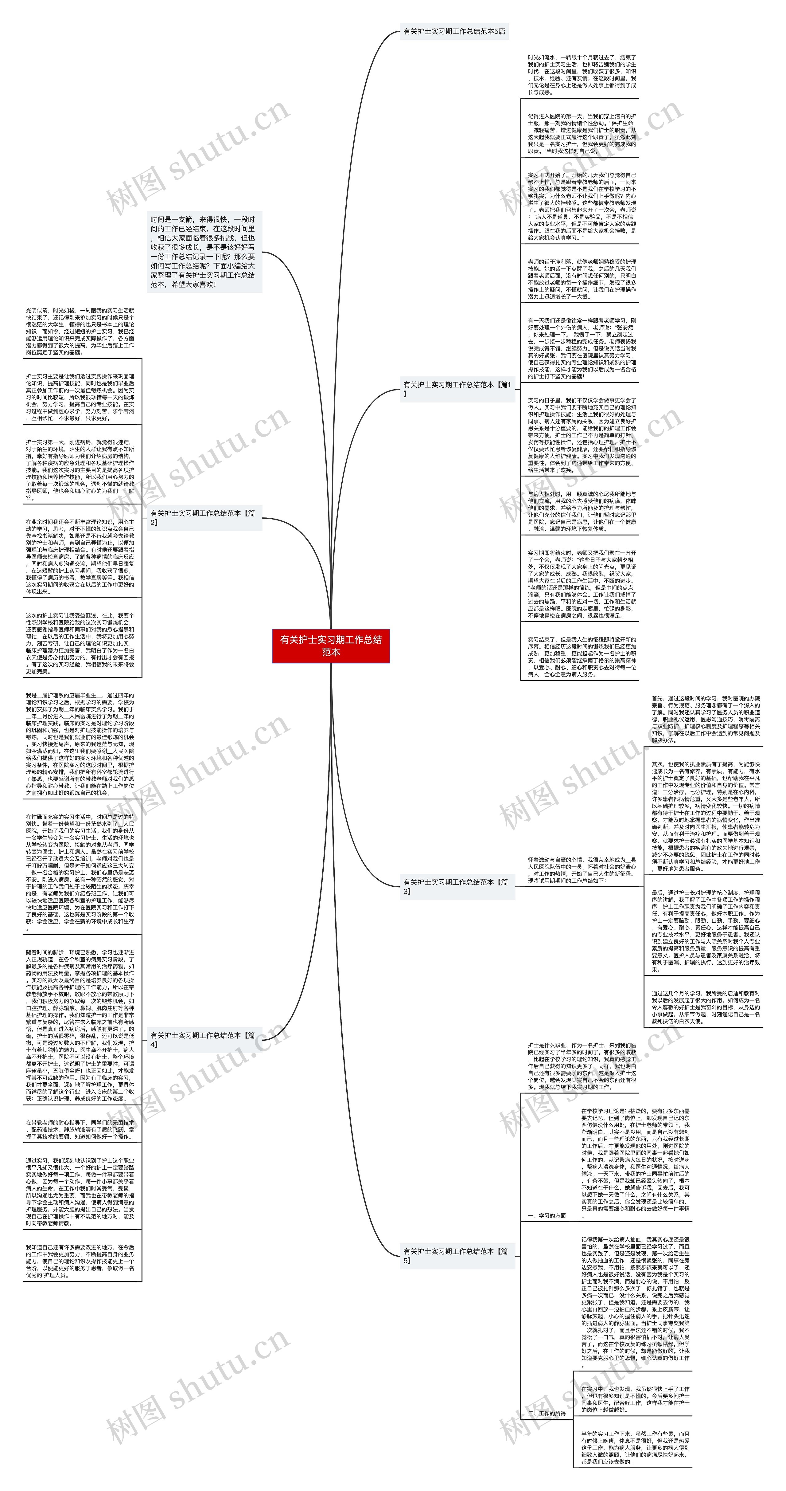 有关护士实习期工作总结范本思维导图