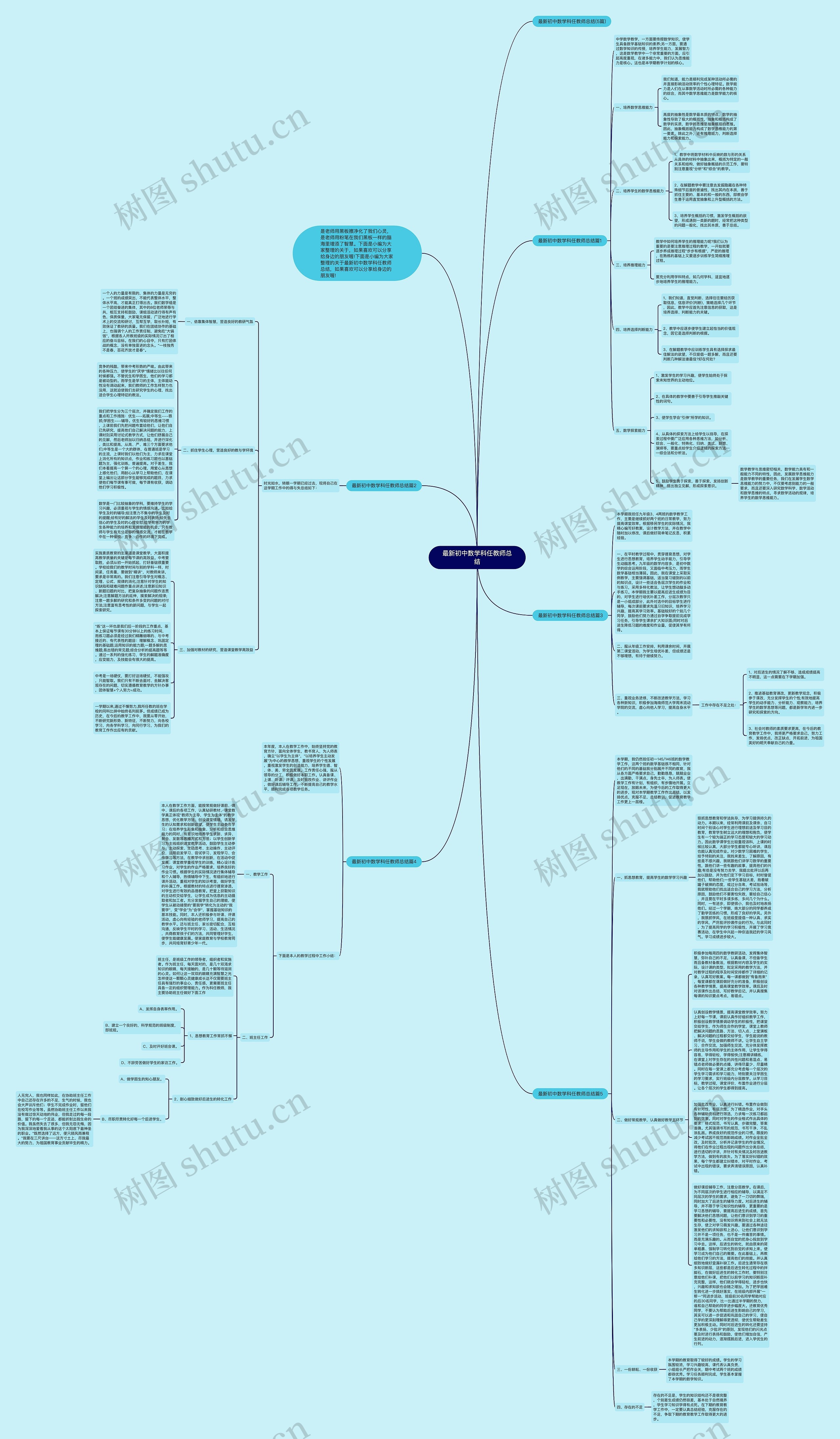 最新初中数学科任教师总结思维导图