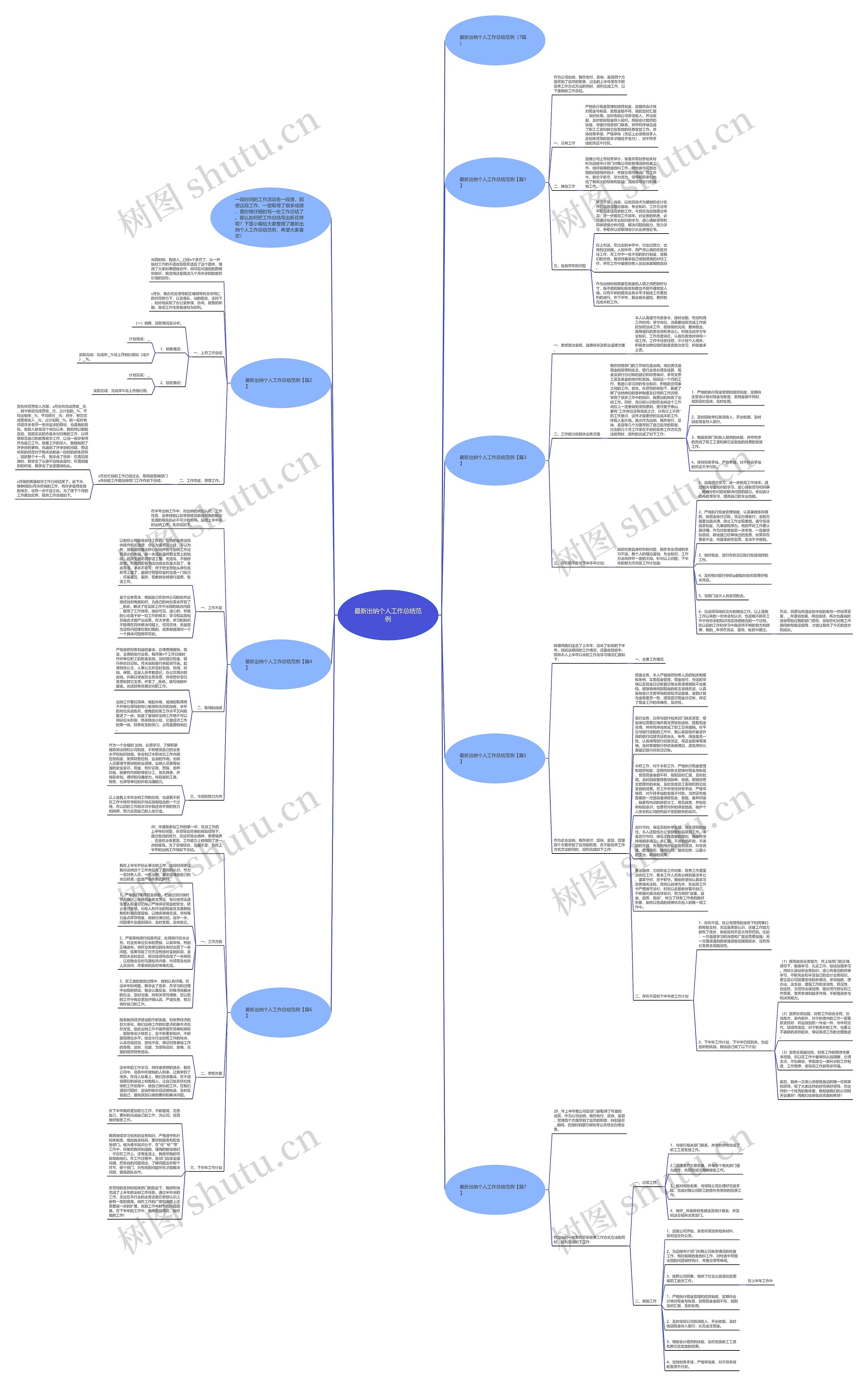 最新出纳个人工作总结范例思维导图