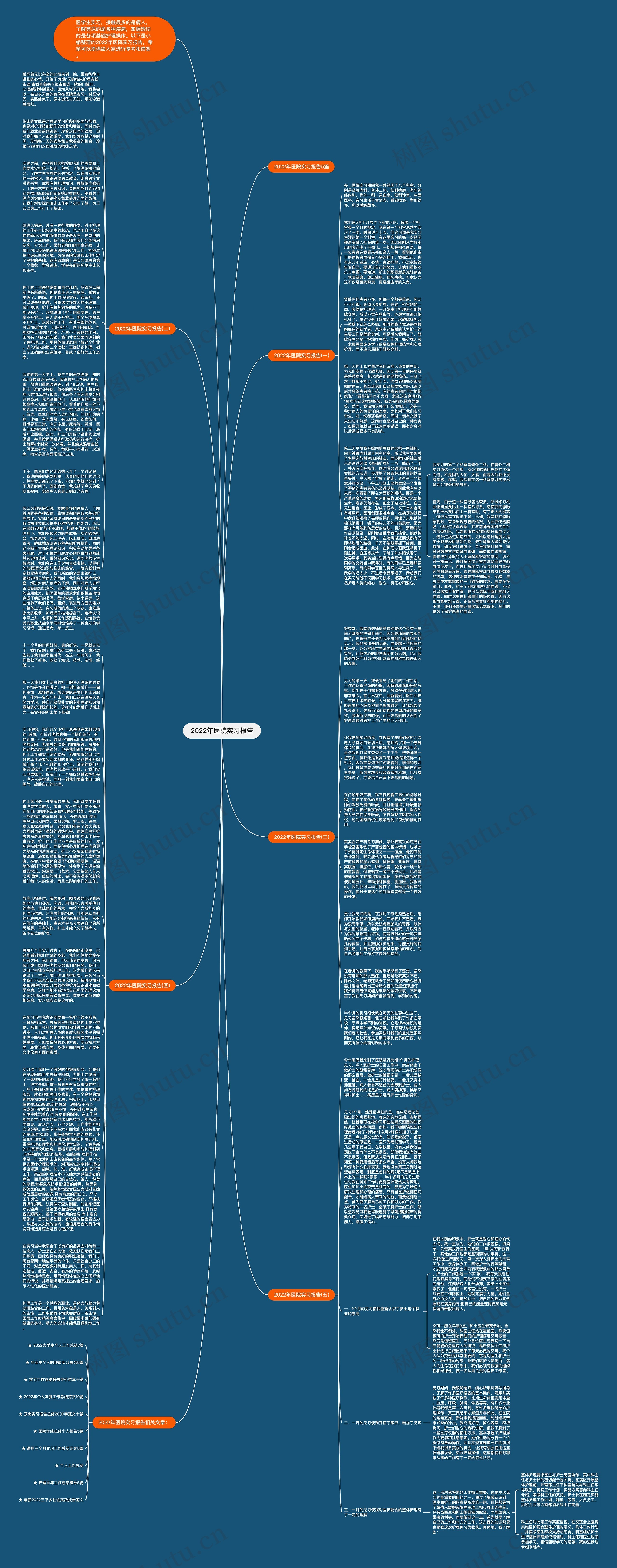 2022年医院实习报告