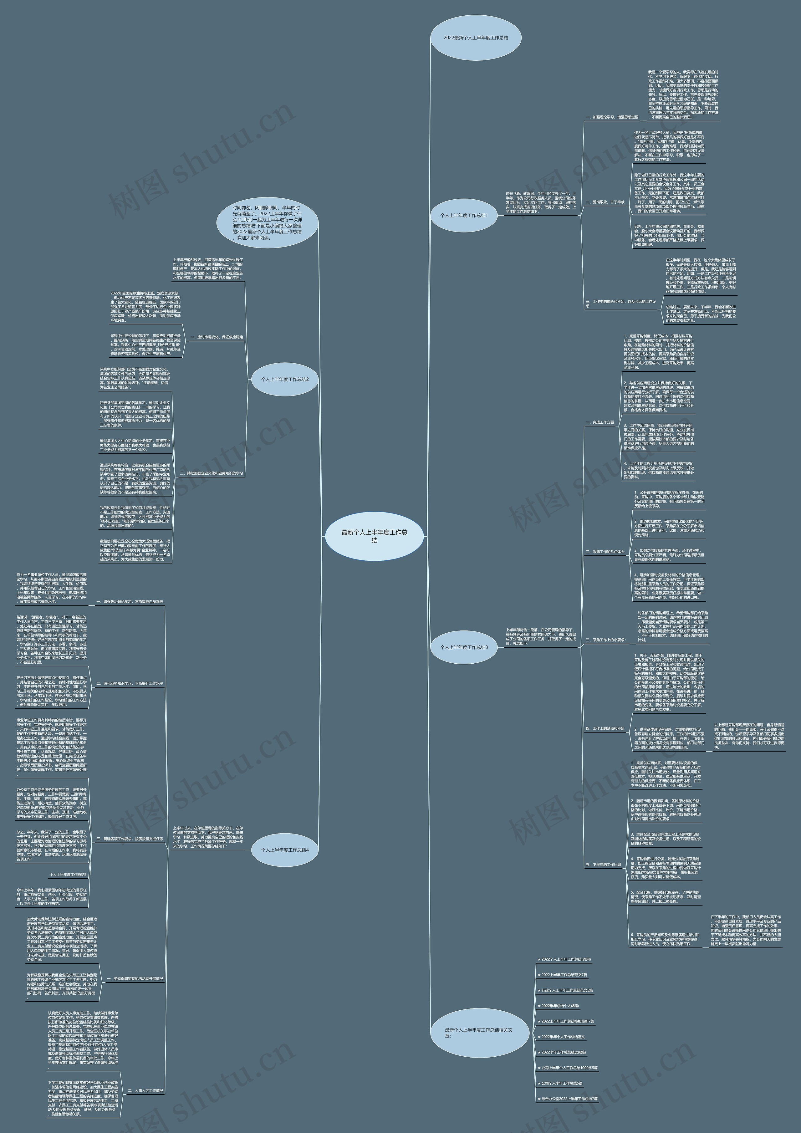 最新个人上半年度工作总结思维导图