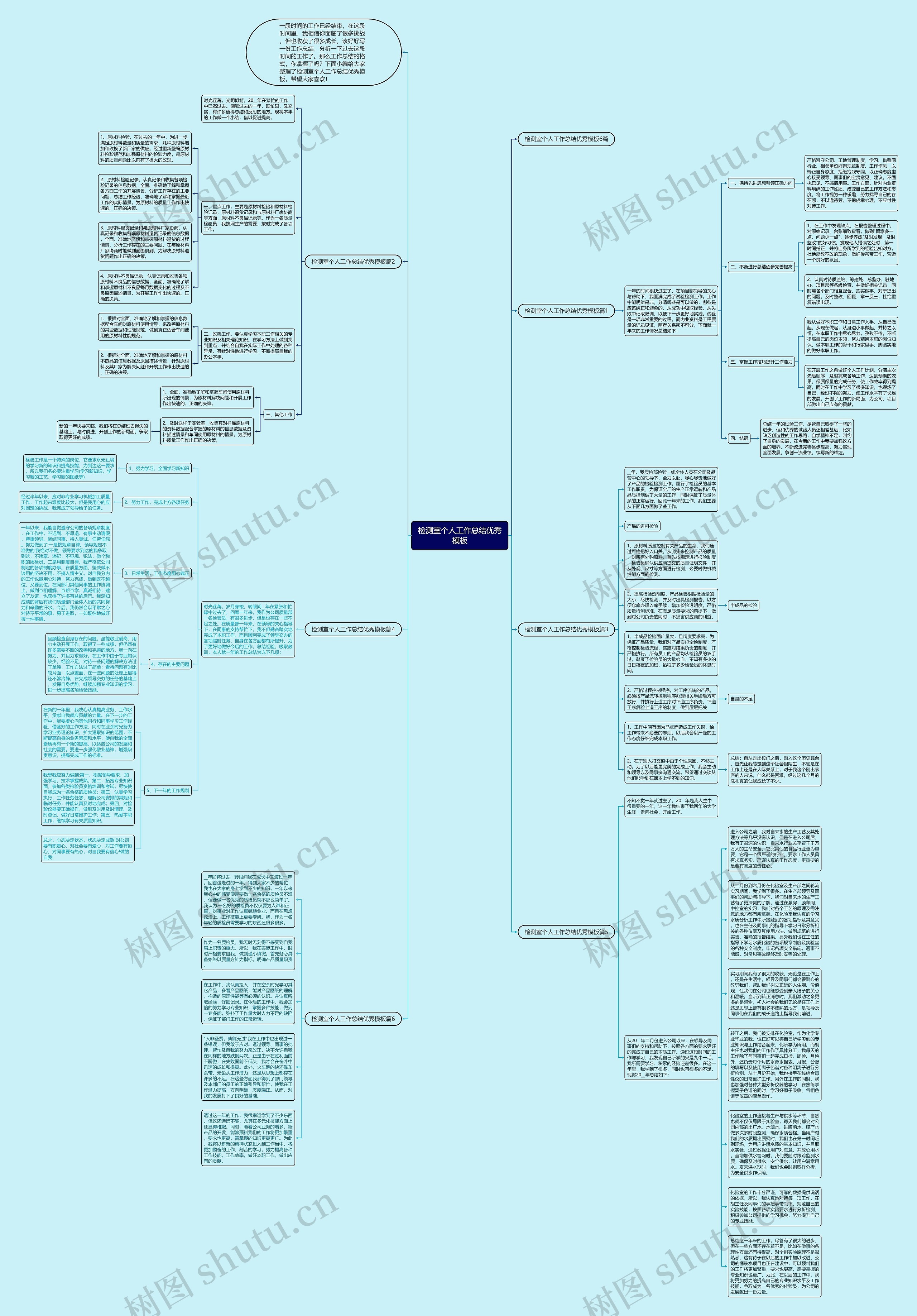 检测室个人工作总结优秀思维导图