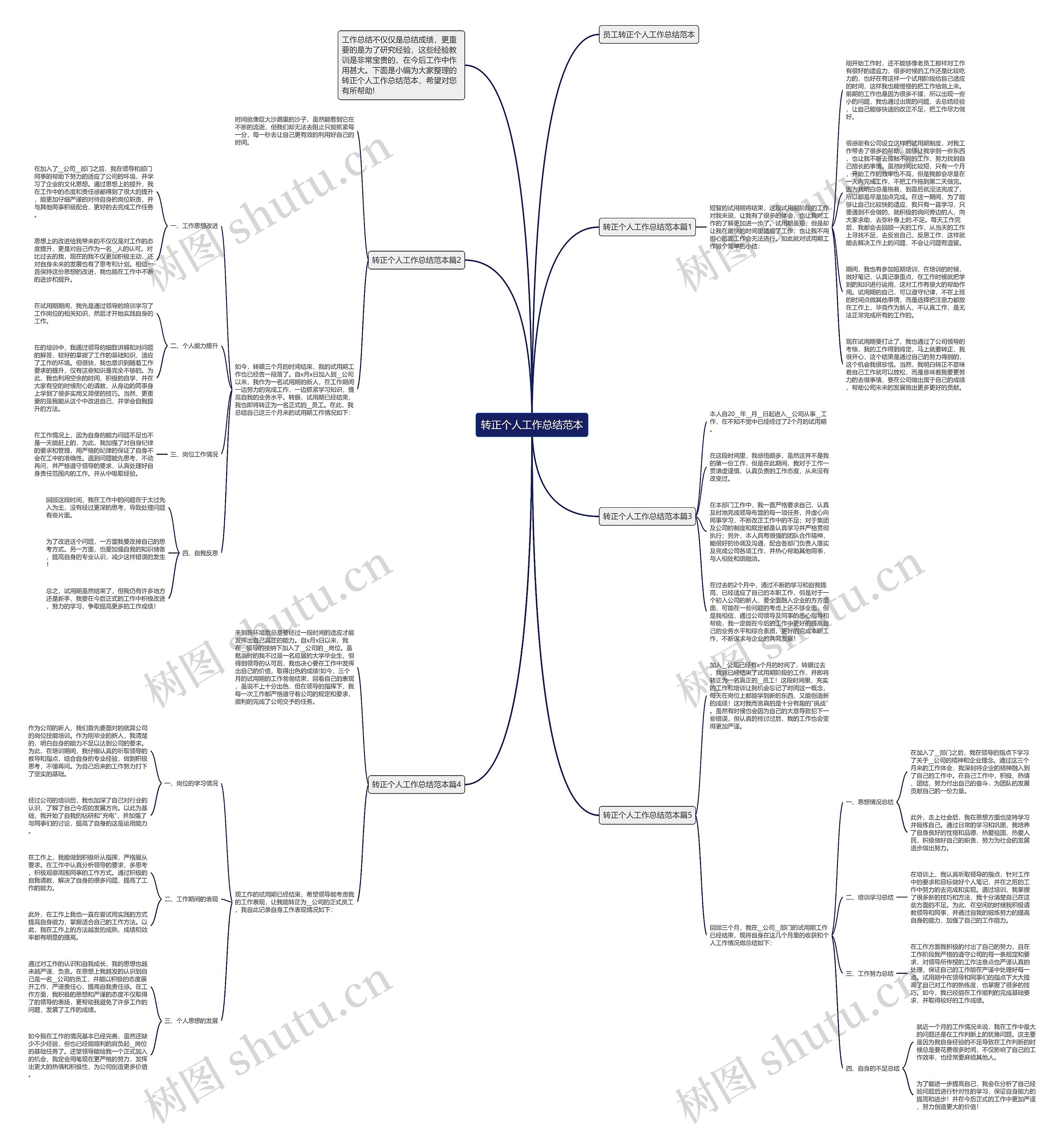转正个人工作总结范本思维导图
