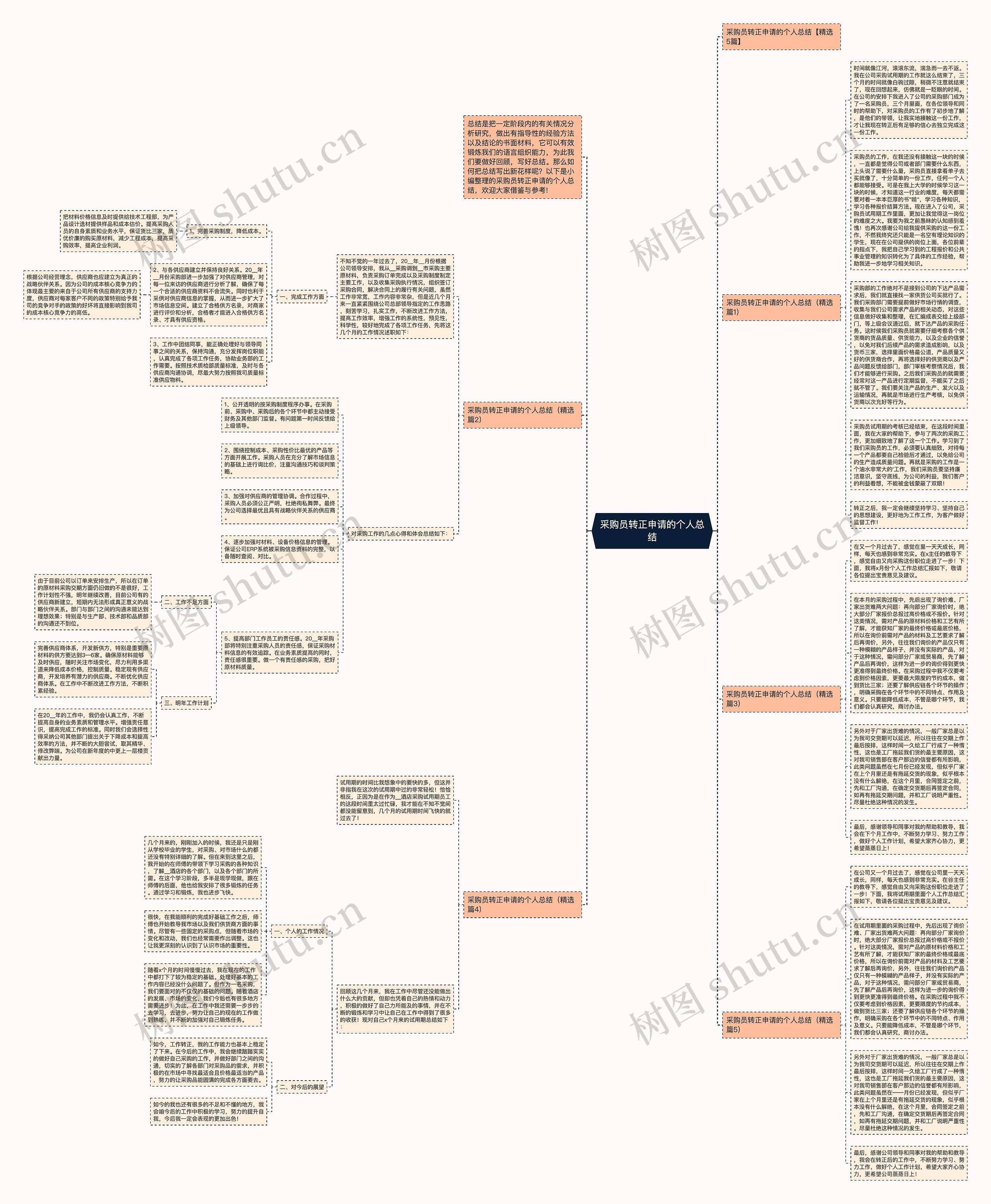 采购员转正申请的个人总结思维导图