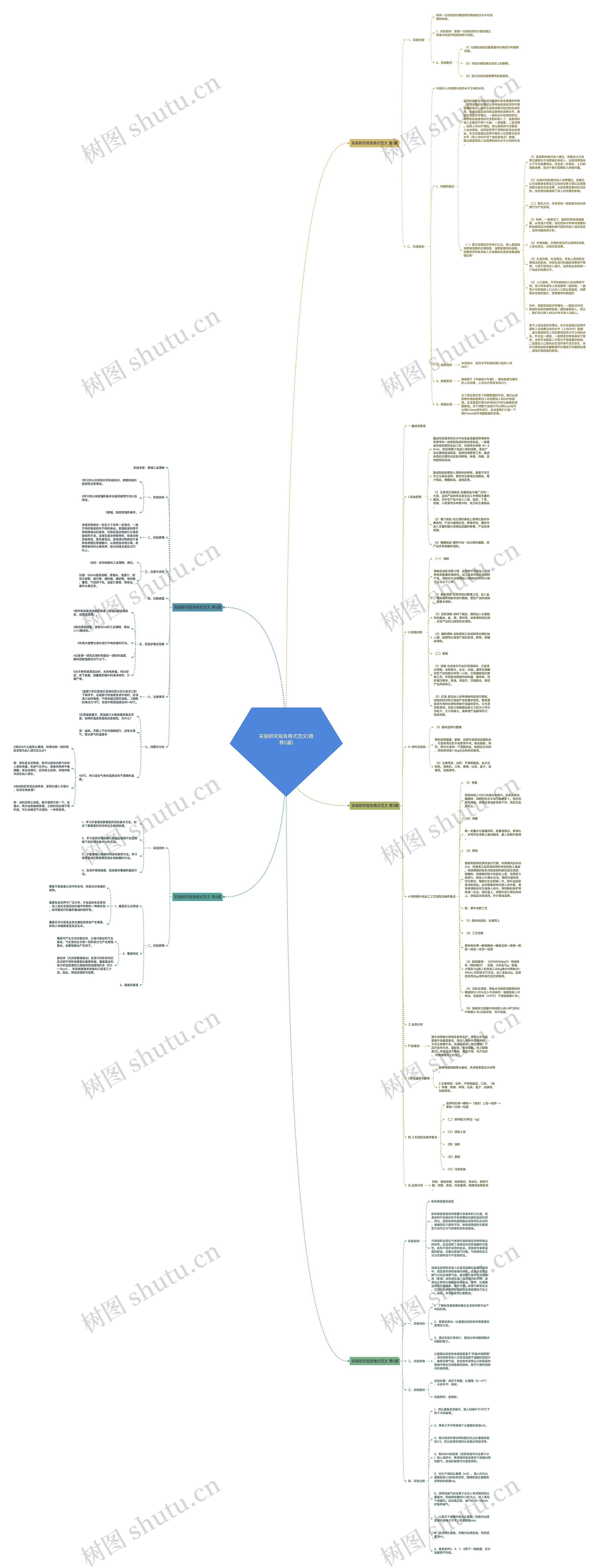 实验研究报告格式范文(推荐5篇)思维导图