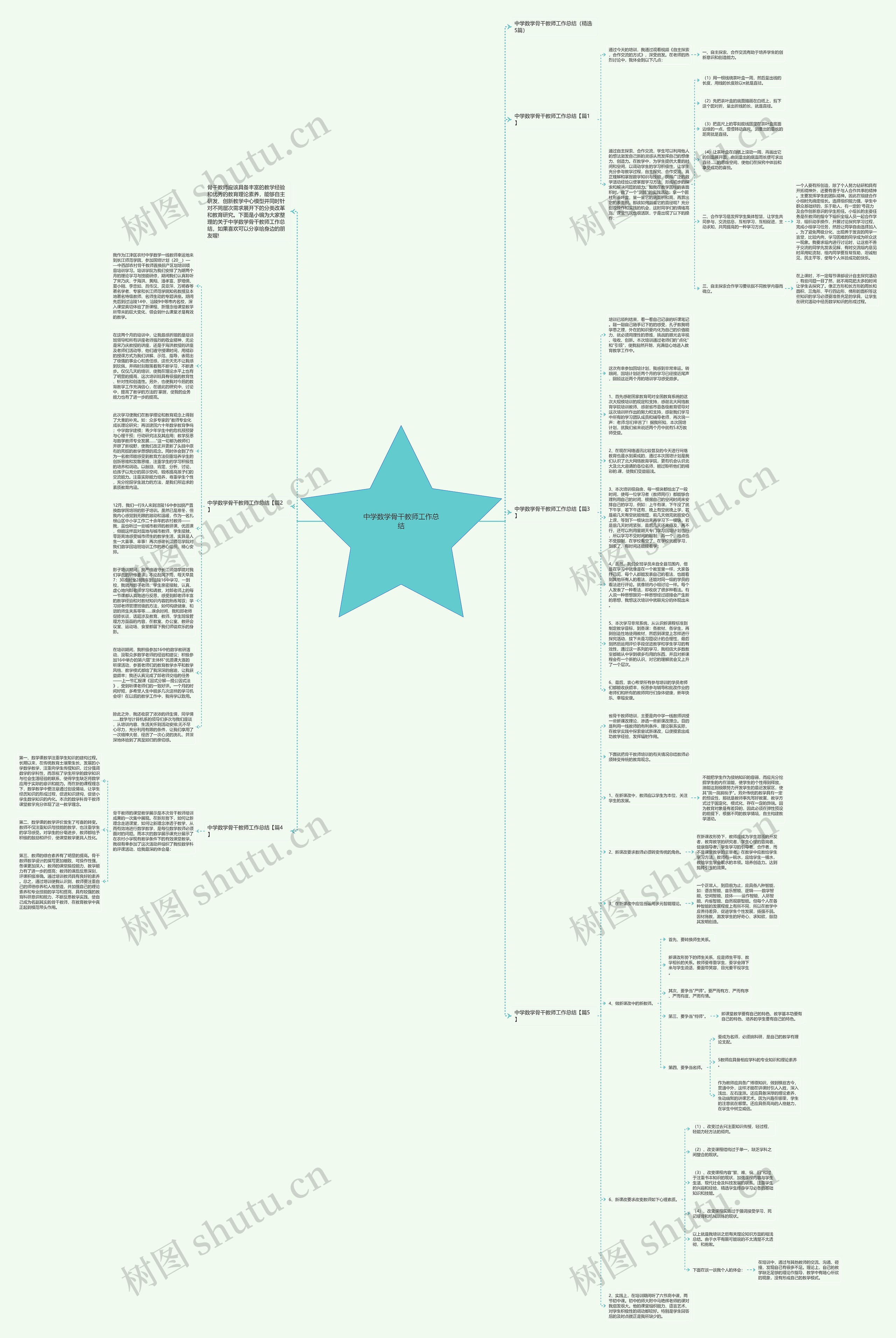 中学数学骨干教师工作总结思维导图
