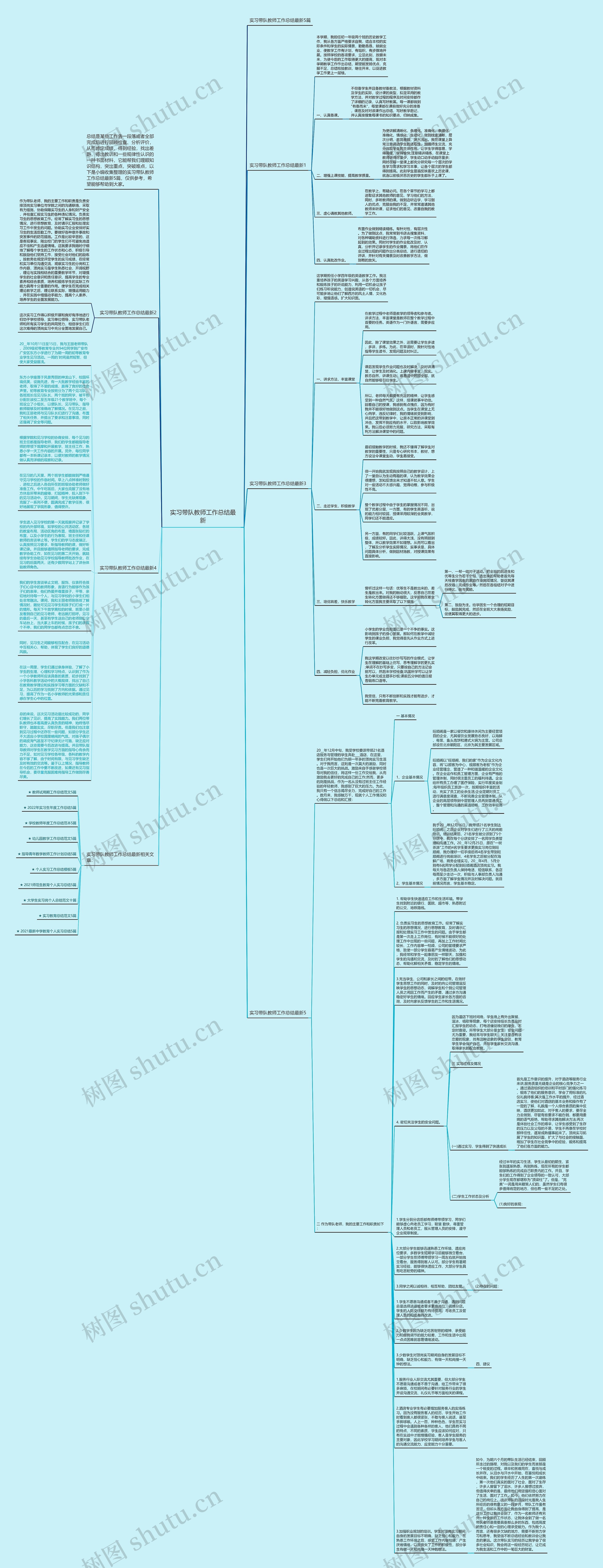 实习带队教师工作总结最新思维导图