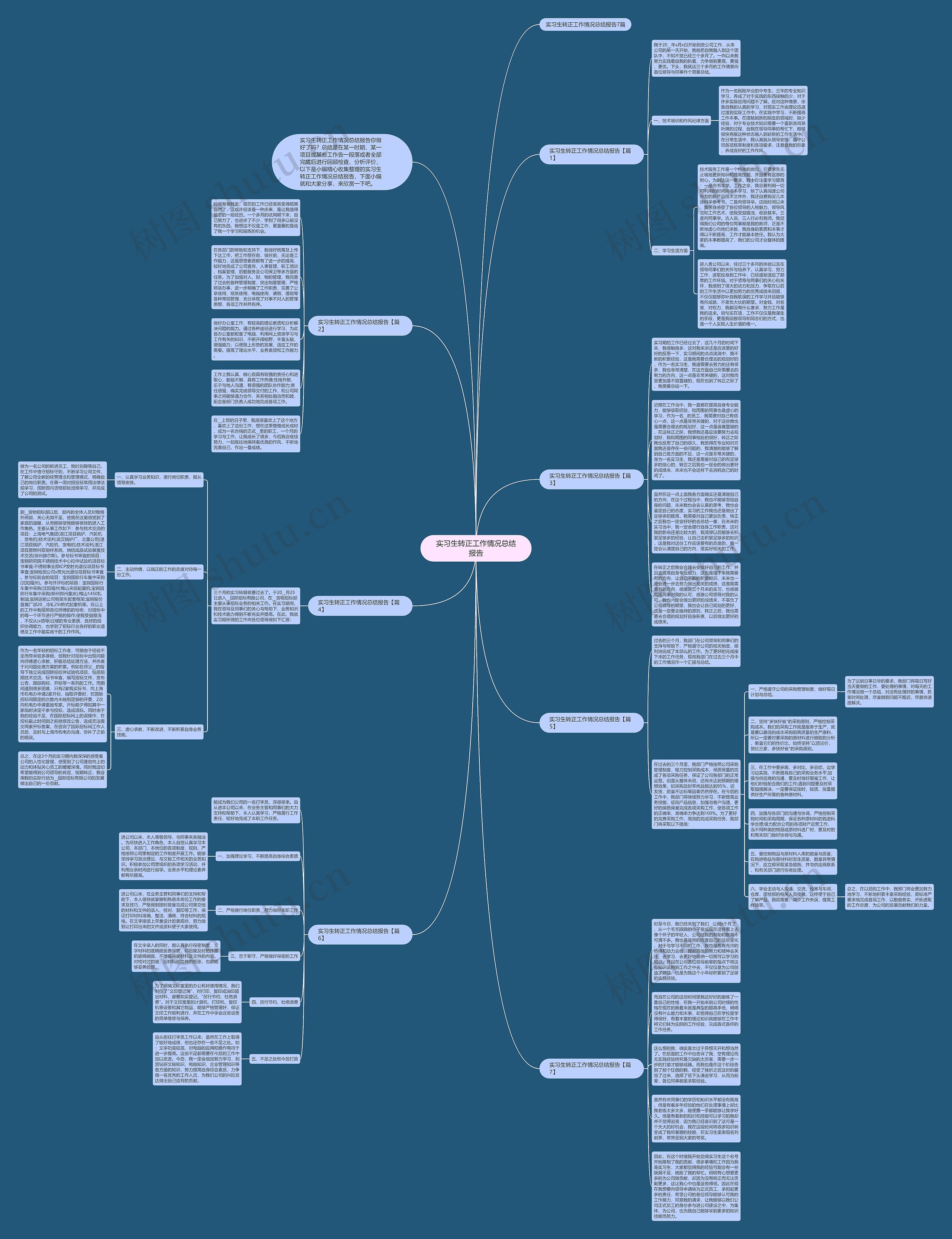 实习生转正工作情况总结报告思维导图