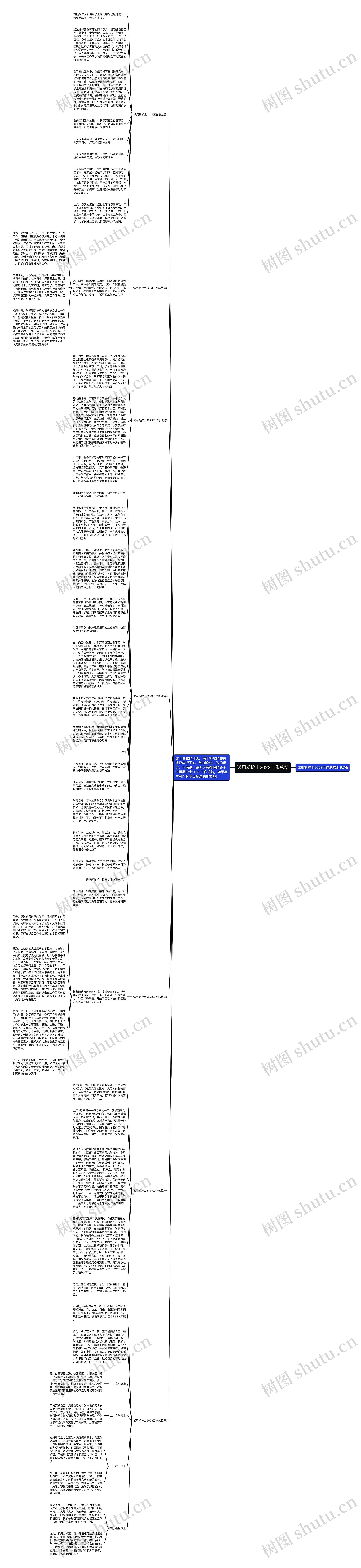 试用期护士2023工作总结