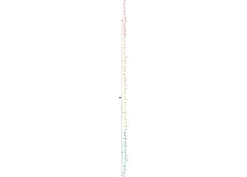 web前端架构师大师课