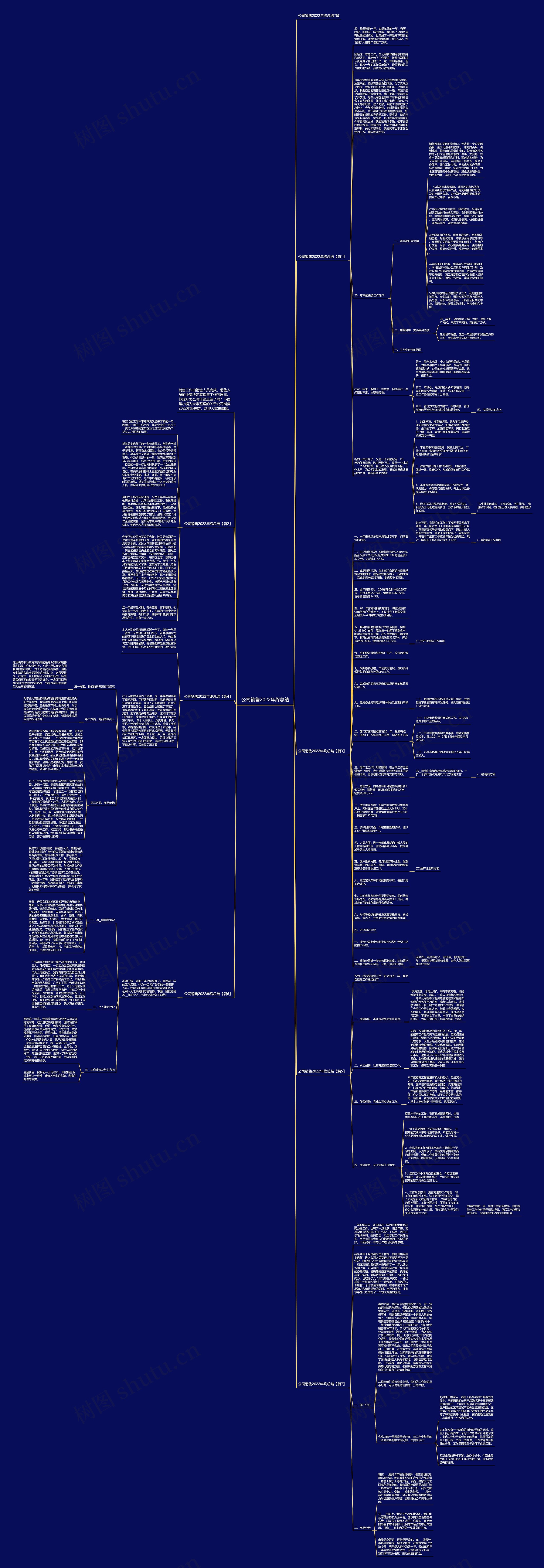 公司销售2022年终总结