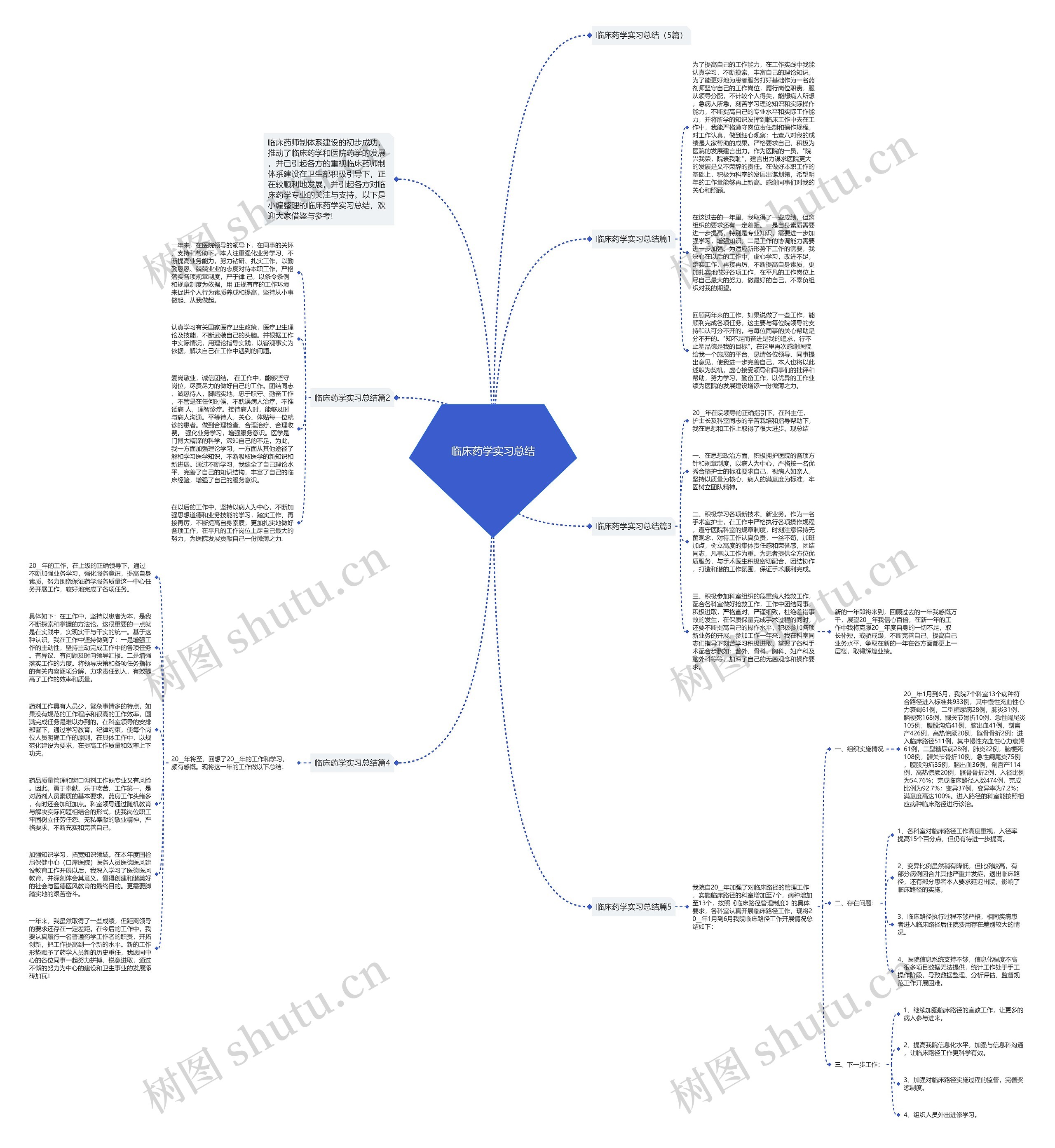 临床药学实习总结思维导图