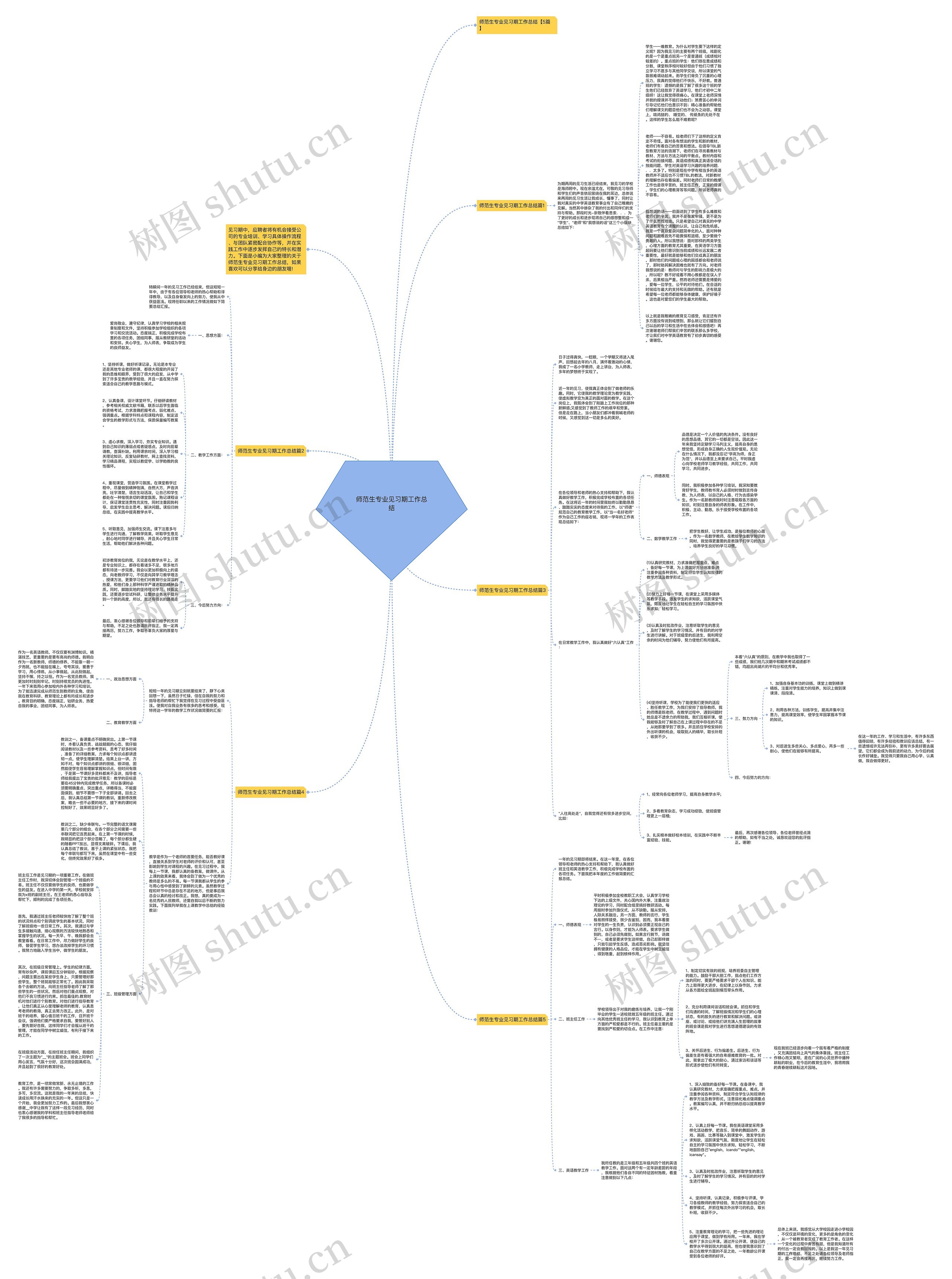 师范生专业见习期工作总结思维导图