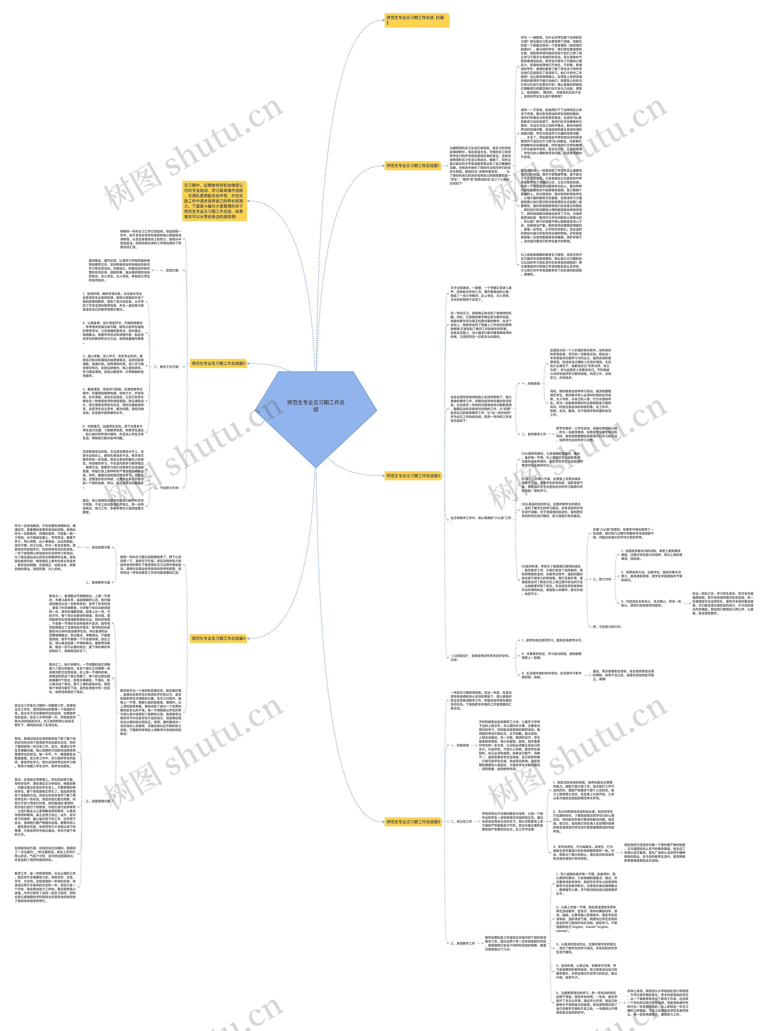 师范生专业见习期工作总结思维导图高清图 师范生专业见习期工作总结思维导图