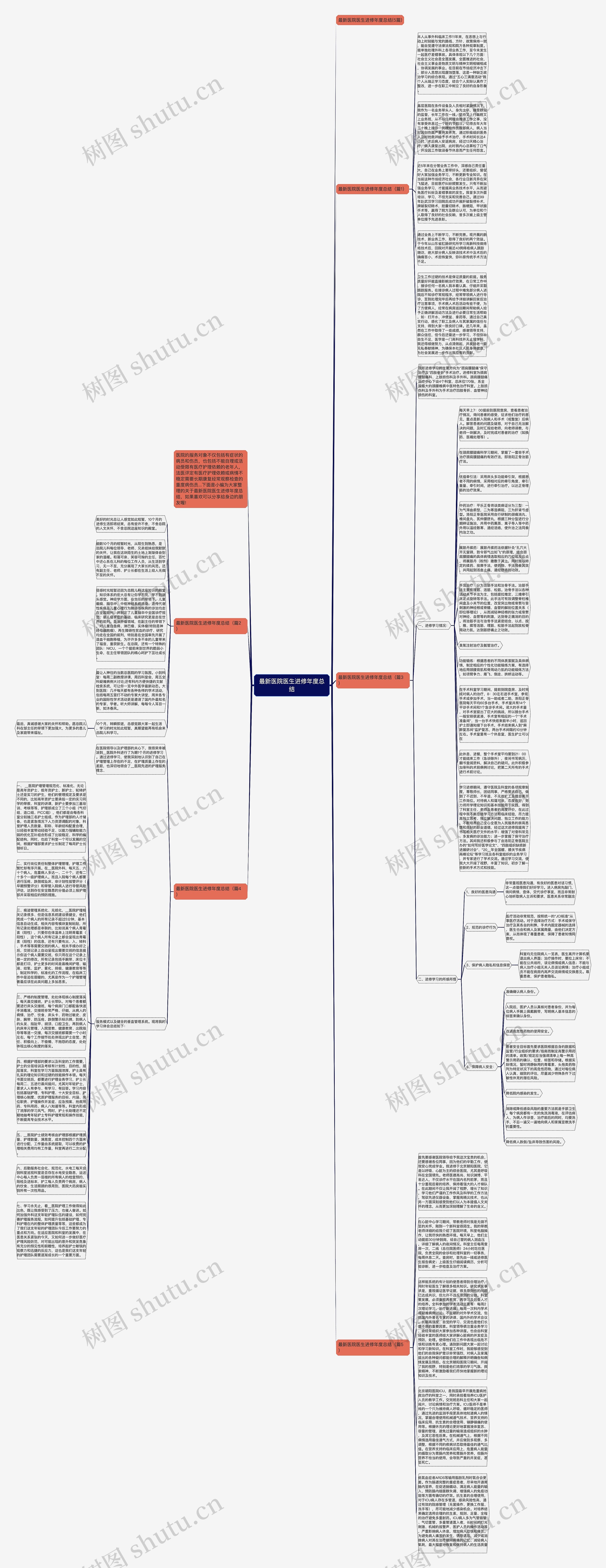 最新医院医生进修年度总结思维导图