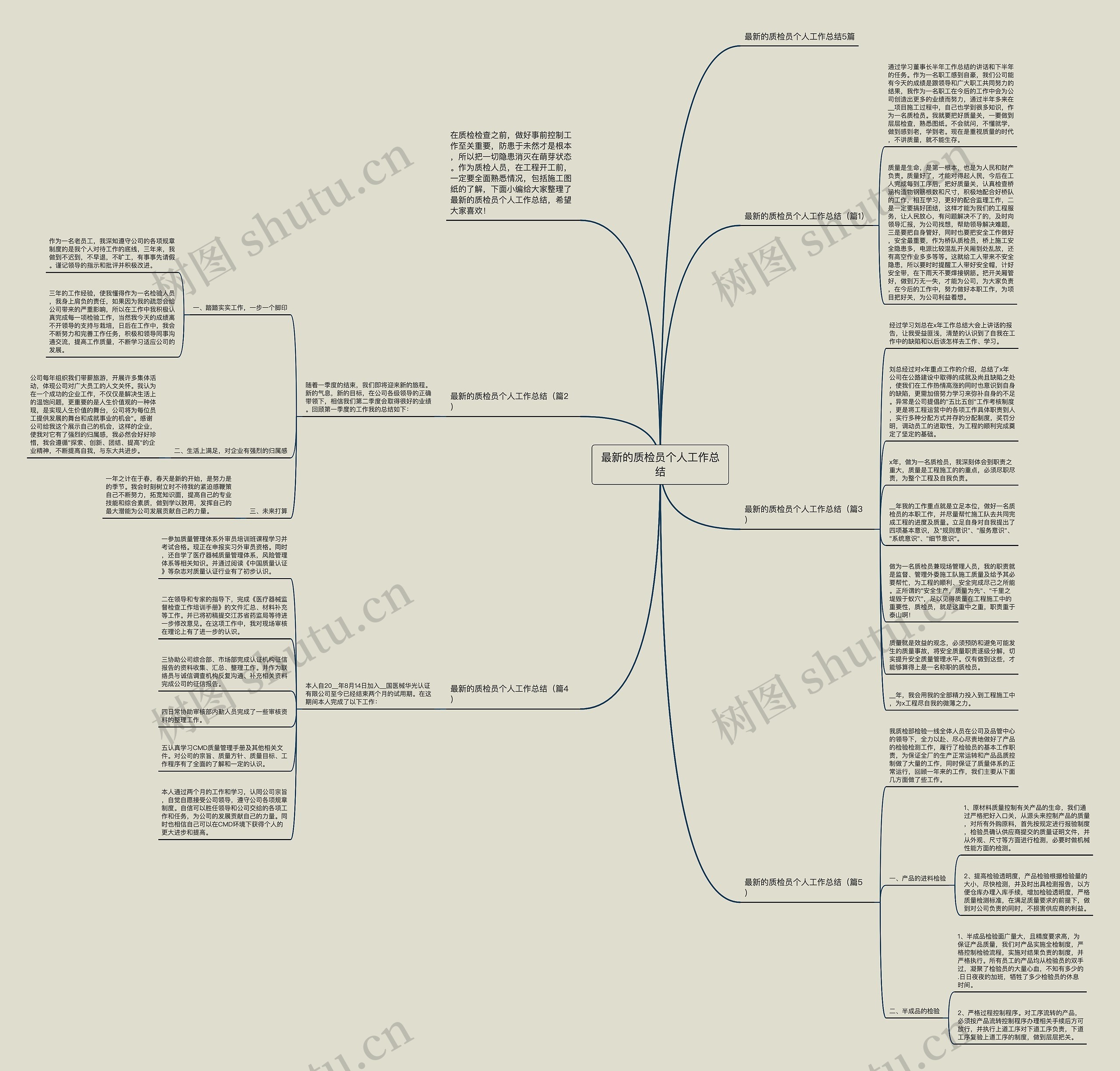最新的质检员个人工作总结思维导图