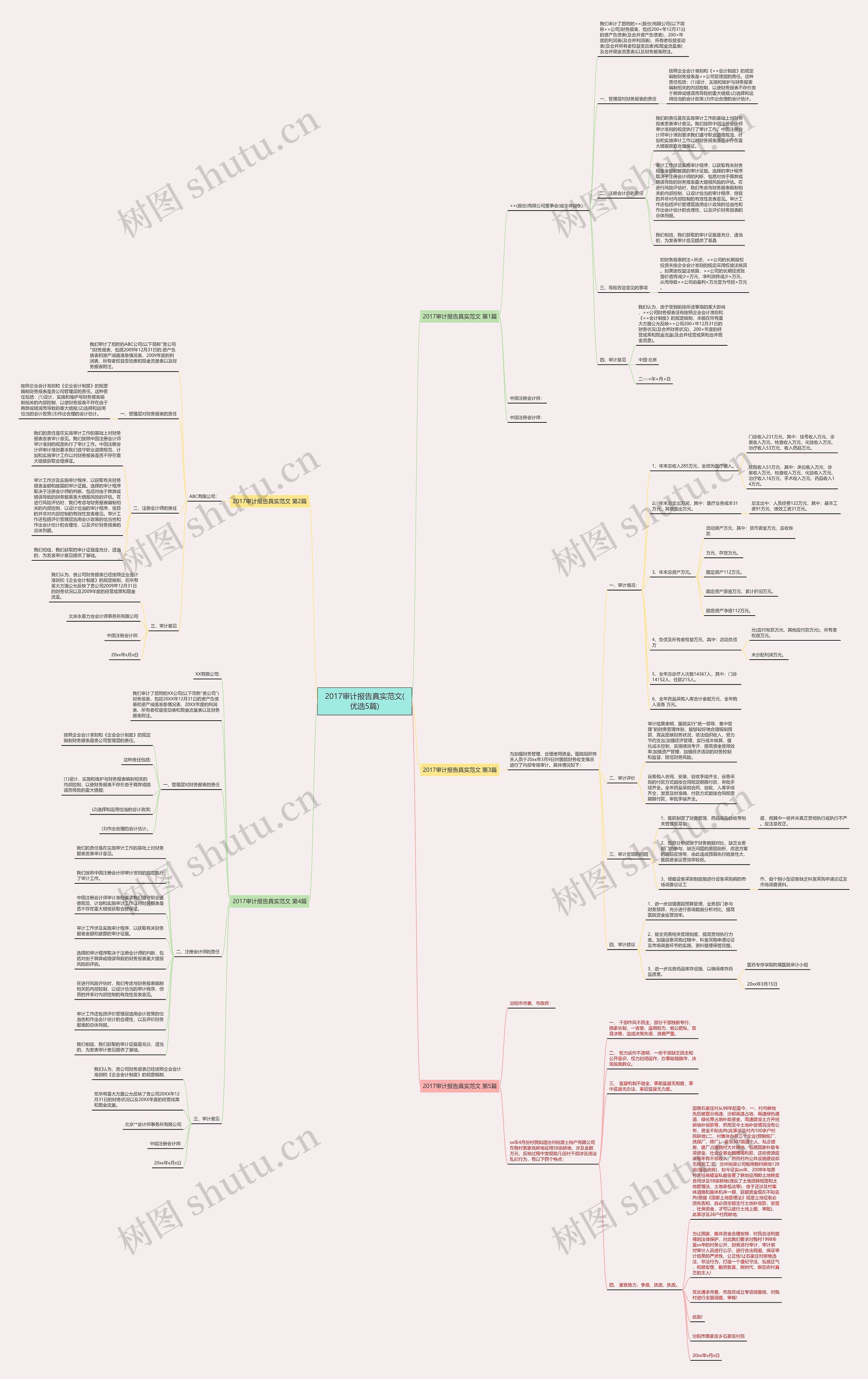 2017审计报告真实范文(优选5篇)思维导图
