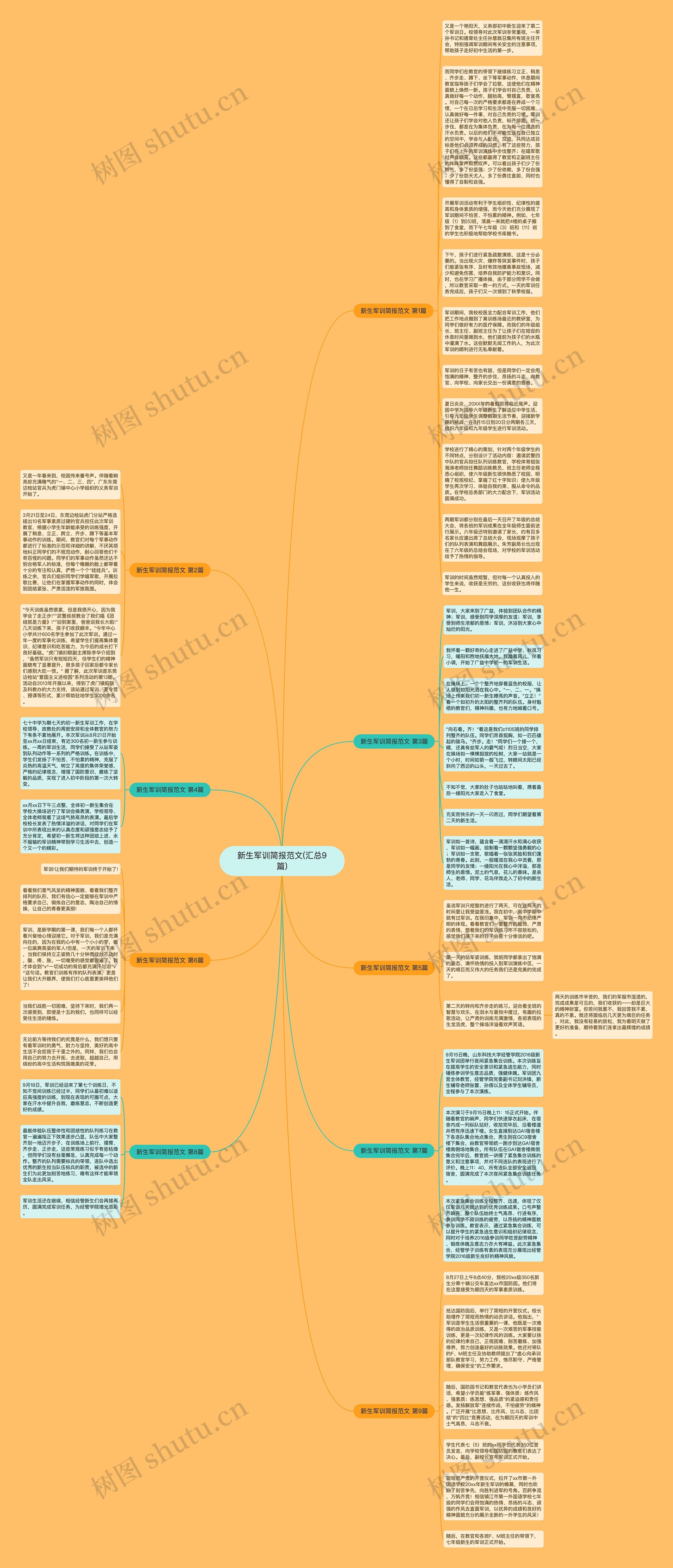 新生军训简报范文(汇总9篇)思维导图