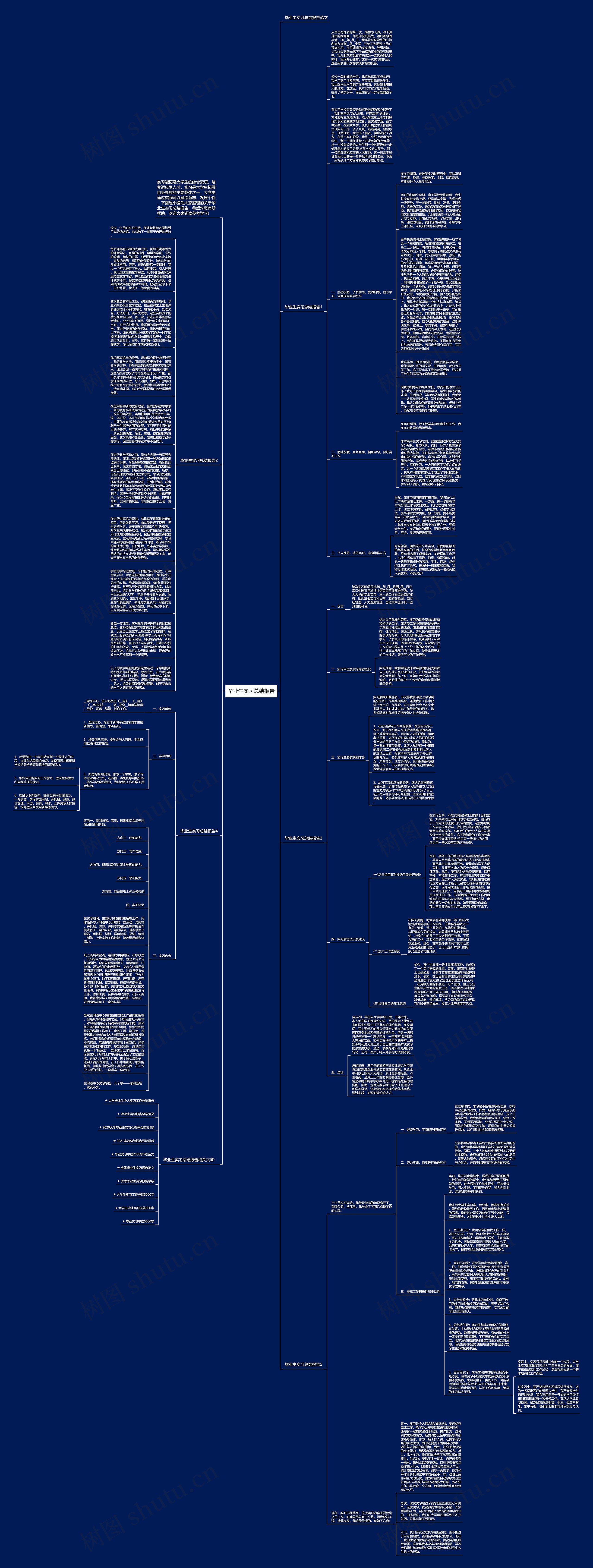 毕业生实习总结报告思维导图