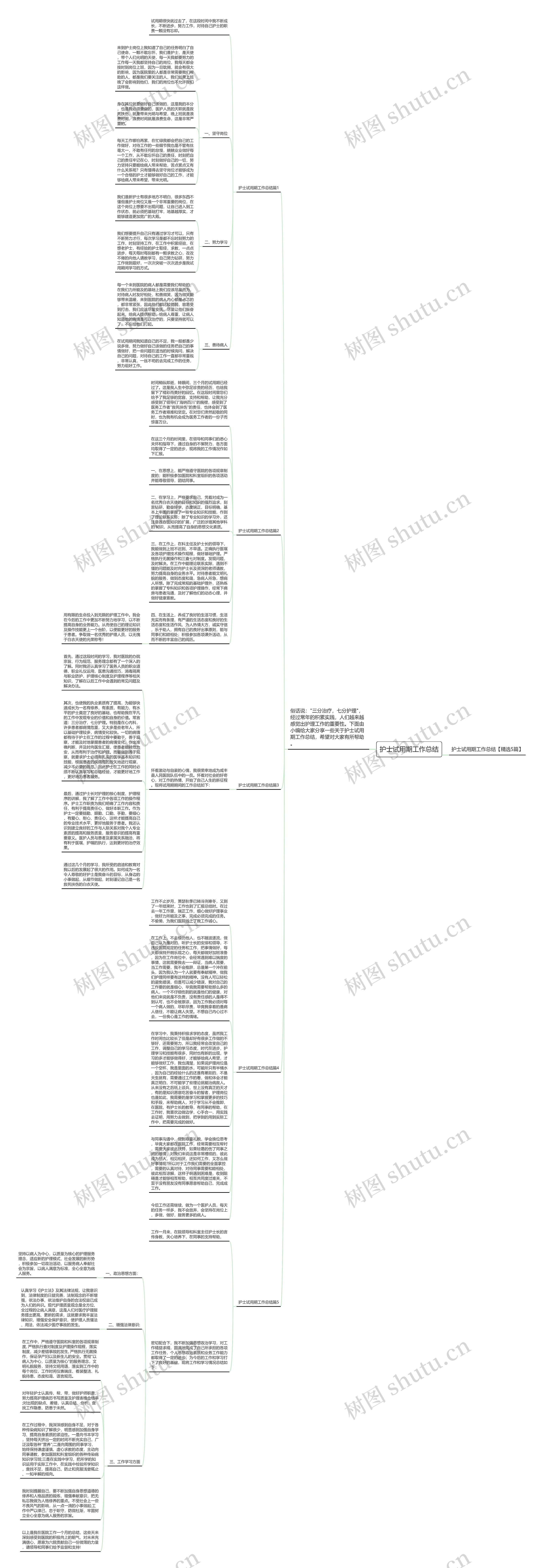 护士试用期工作总结