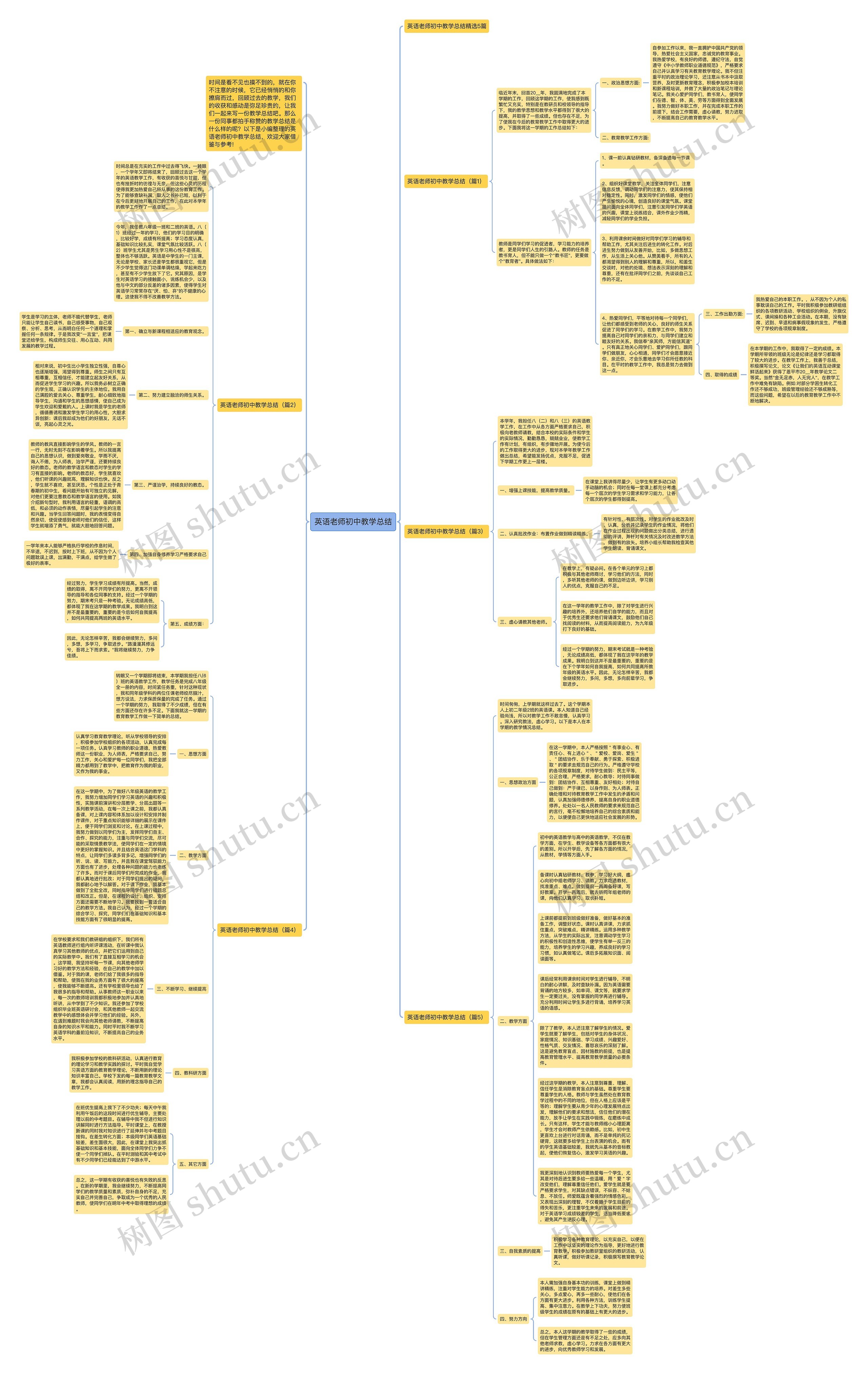 英语老师初中教学总结思维导图