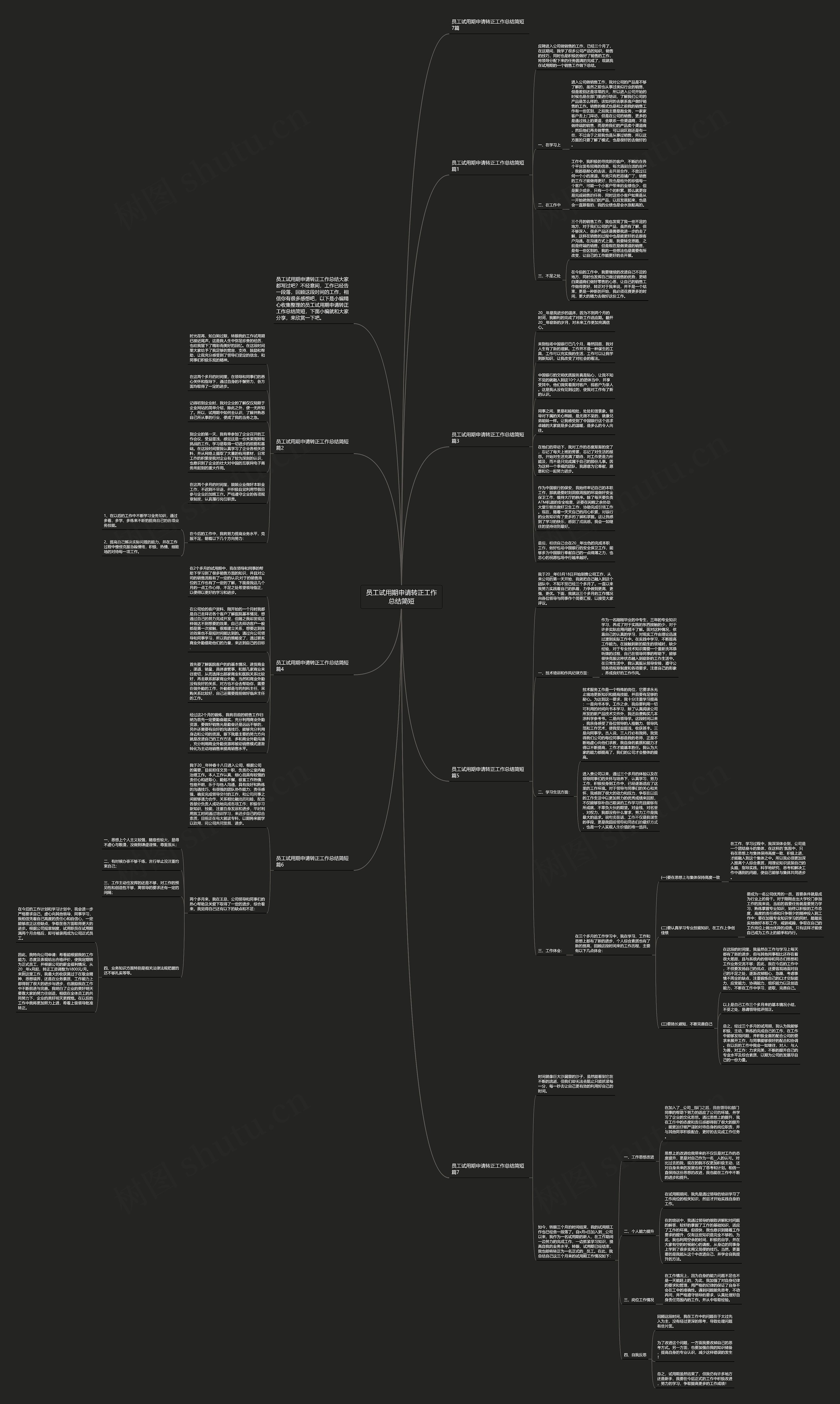 员工试用期申请转正工作总结简短思维导图