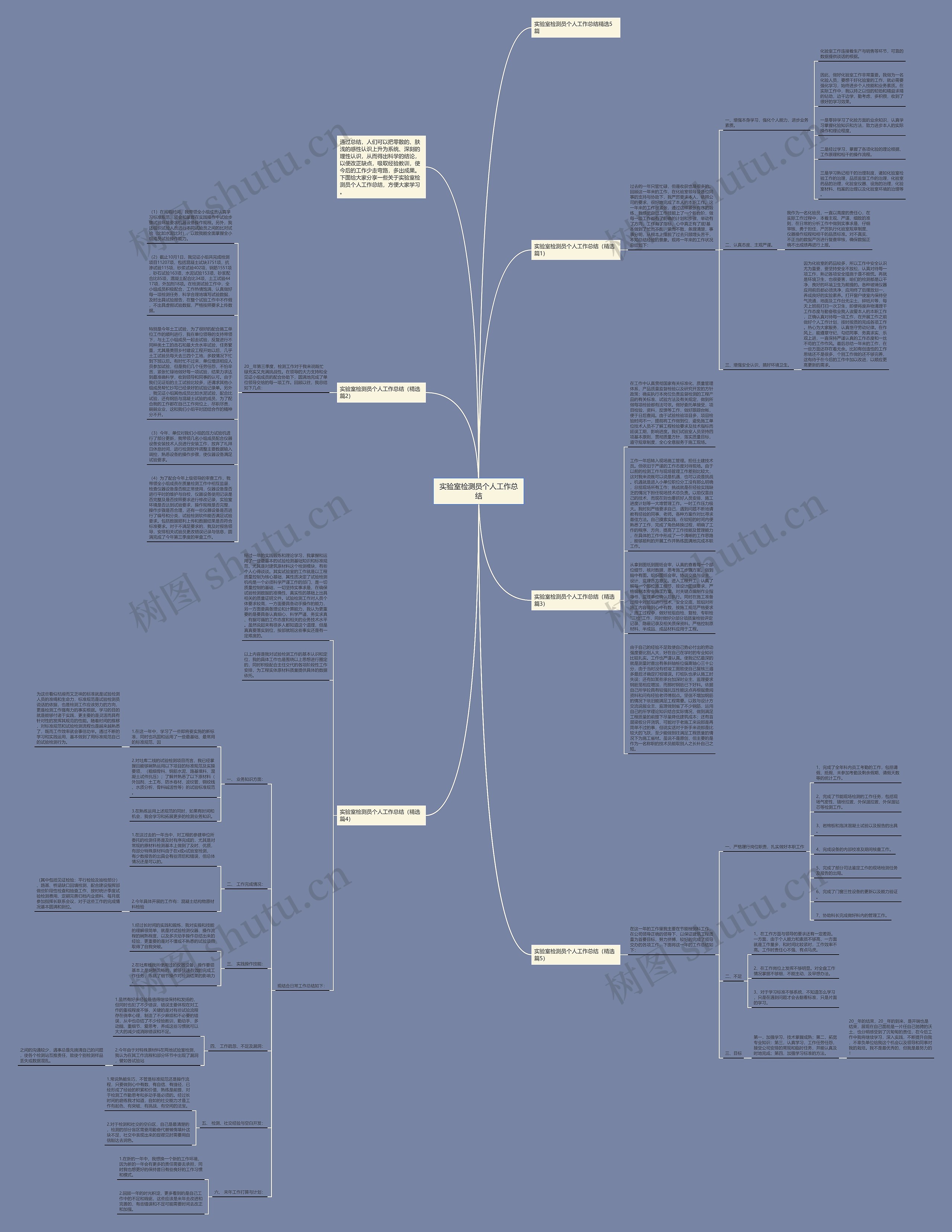 实验室检测员个人工作总结思维导图