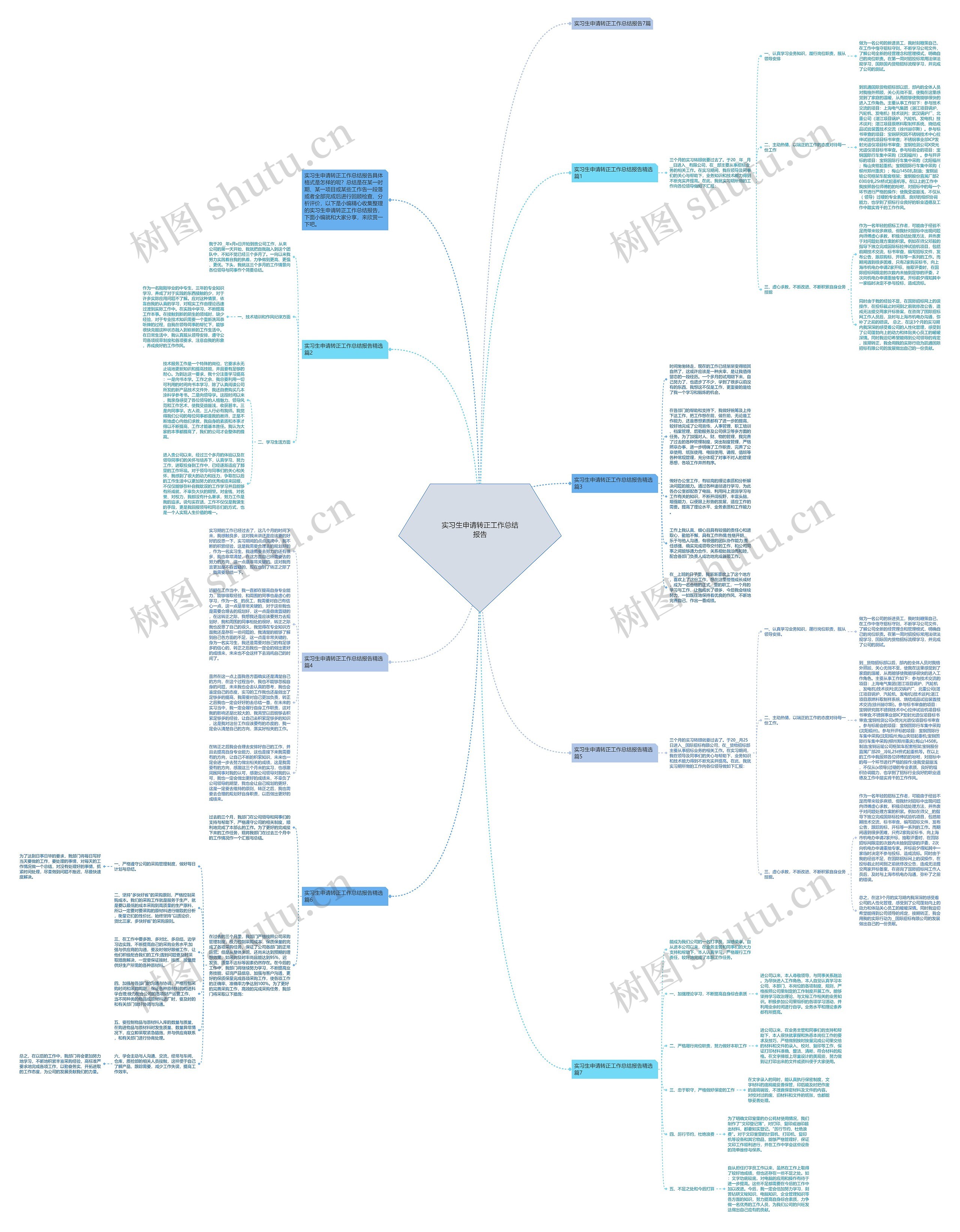 实习生申请转正工作总结报告思维导图
