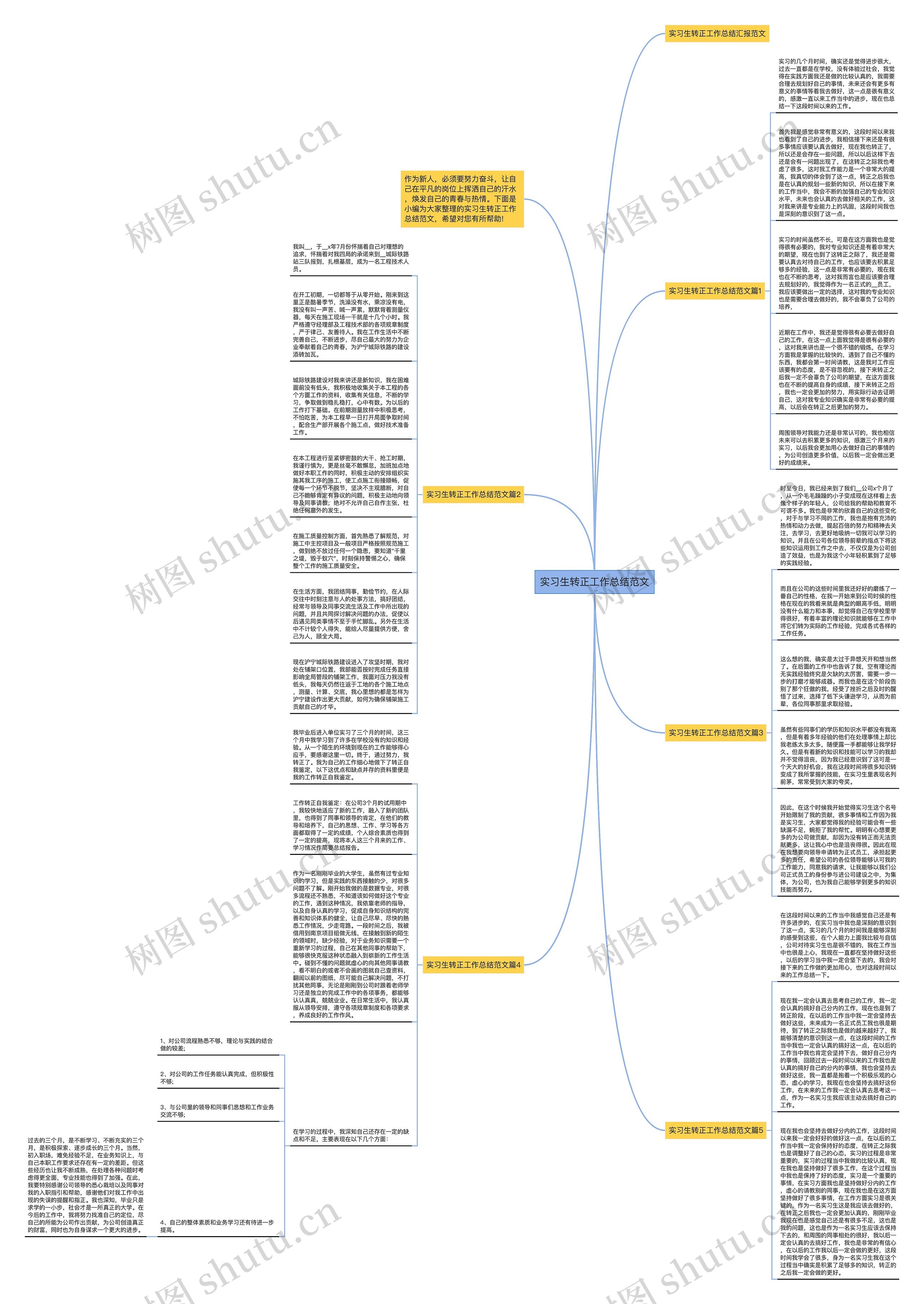 实习生转正工作总结范文思维导图