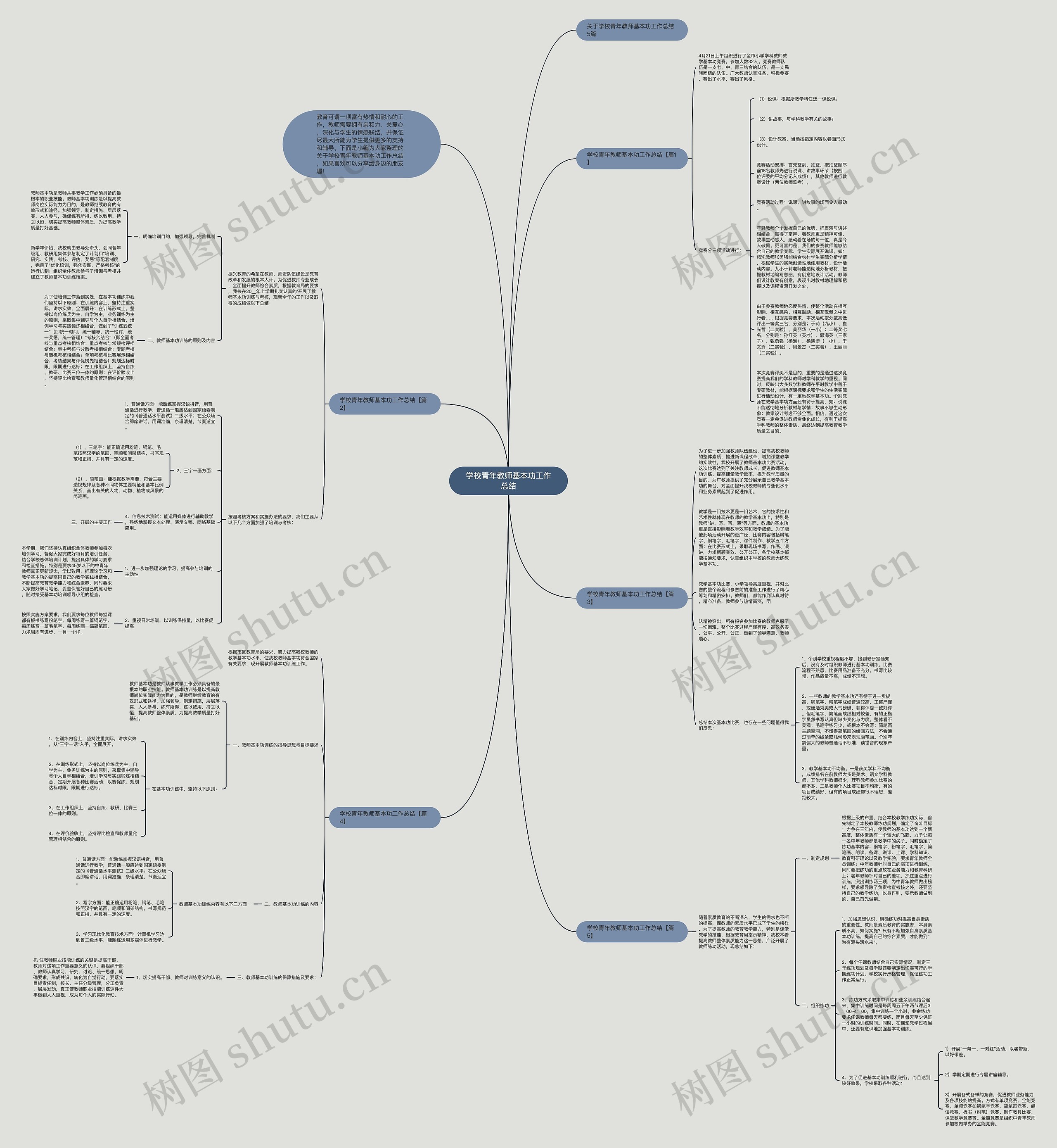 学校青年教师基本功工作总结