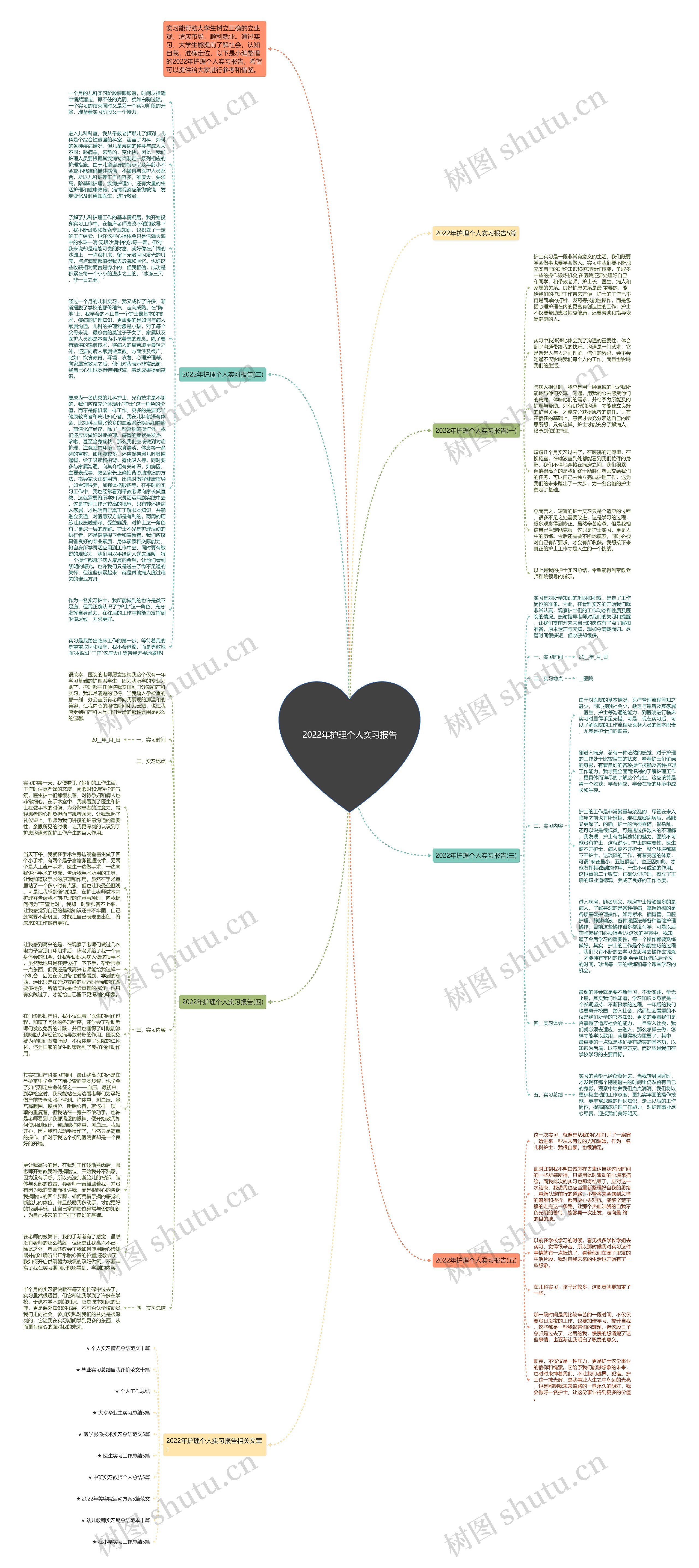 2022年护理个人实习报告思维导图