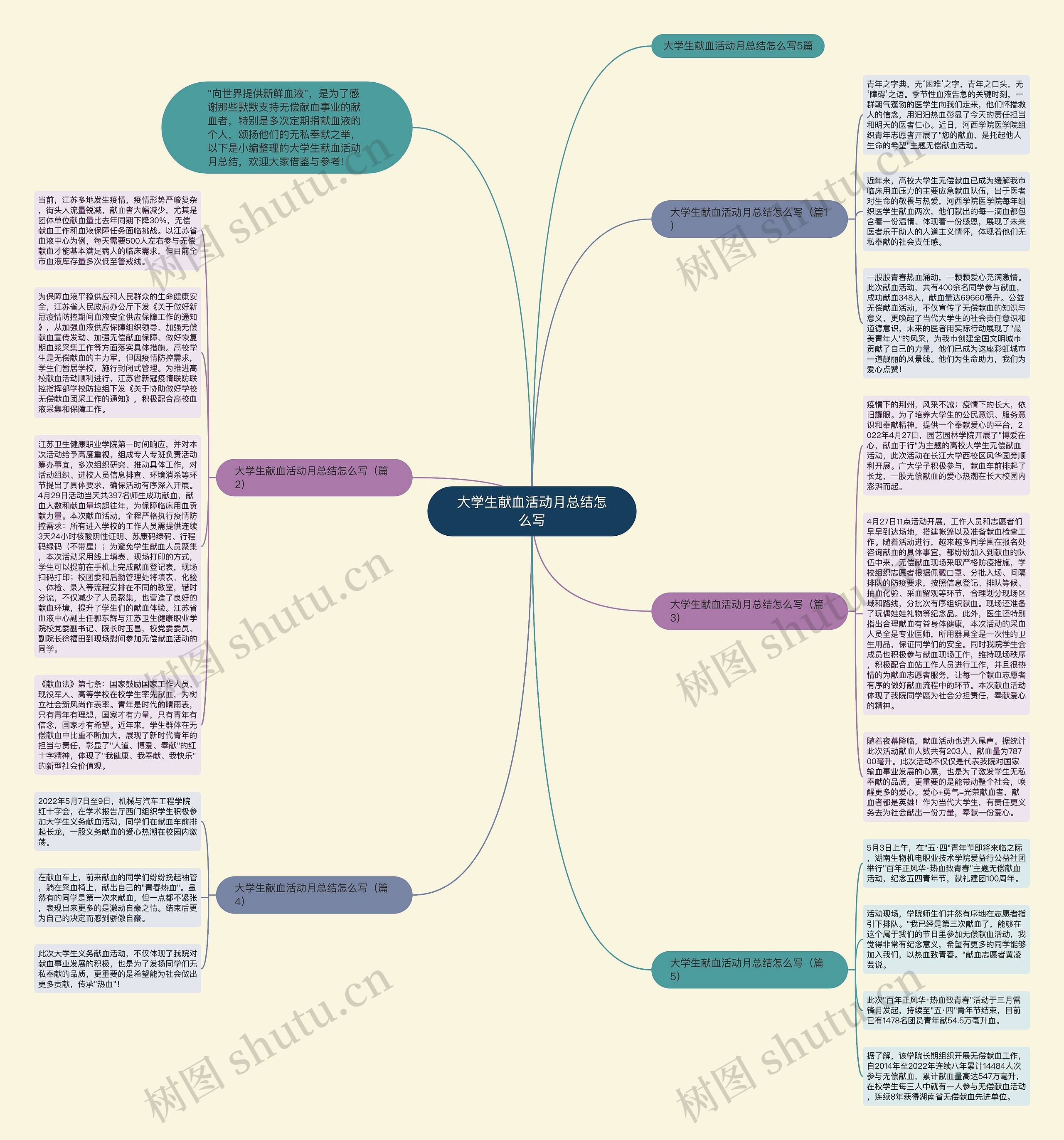 大学生献血活动月总结怎么写思维导图