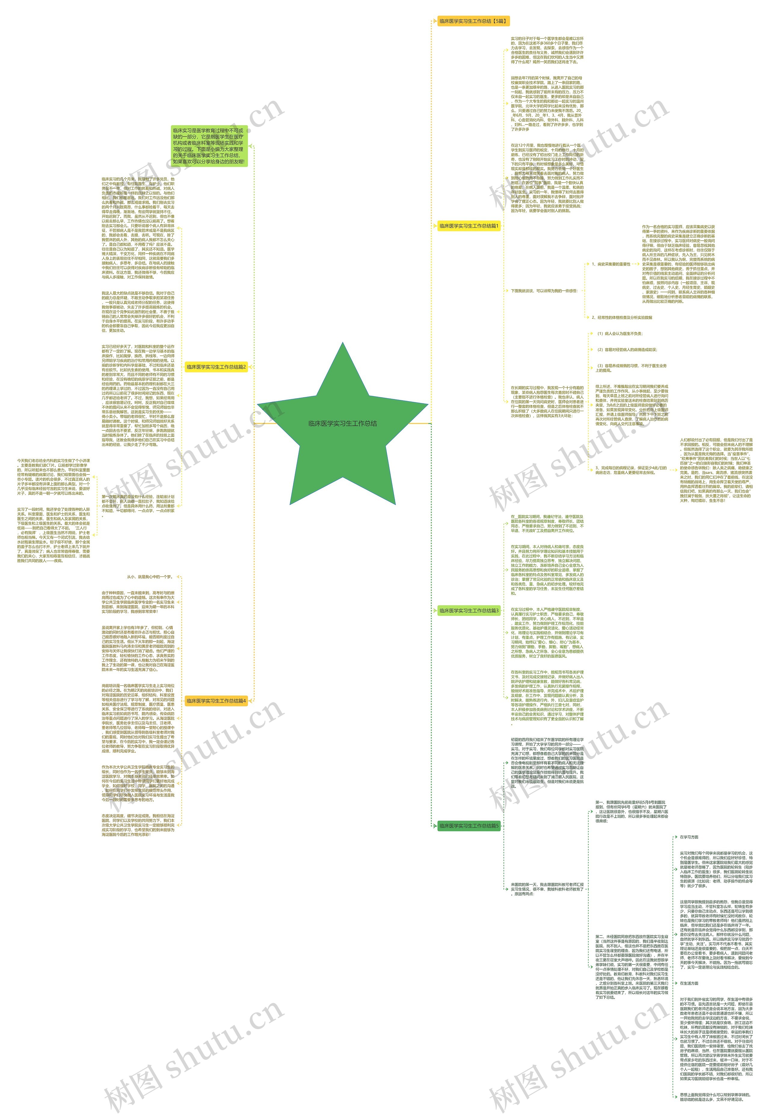 临床医学实习生工作总结思维导图