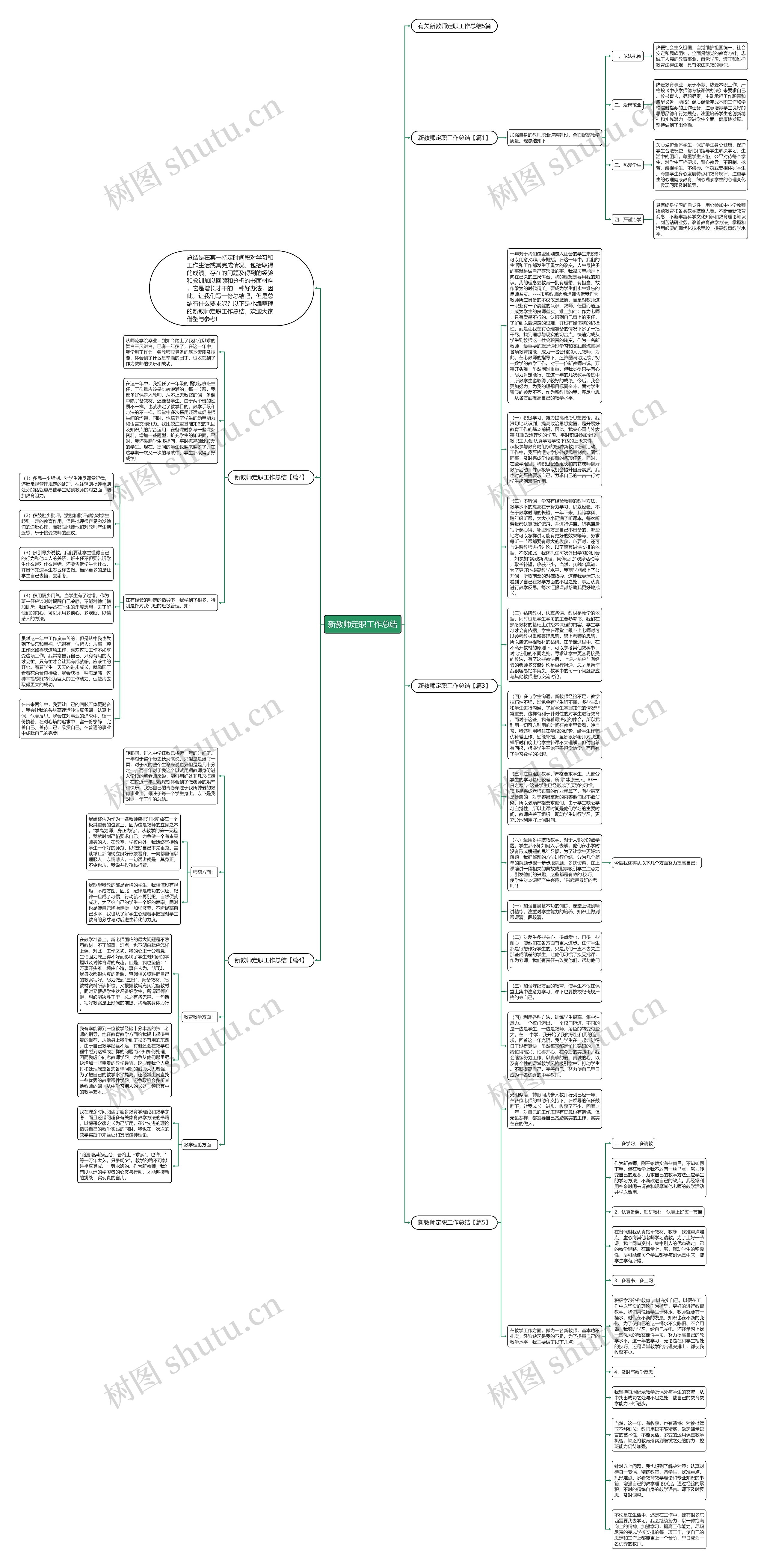 新教师定职工作总结思维导图