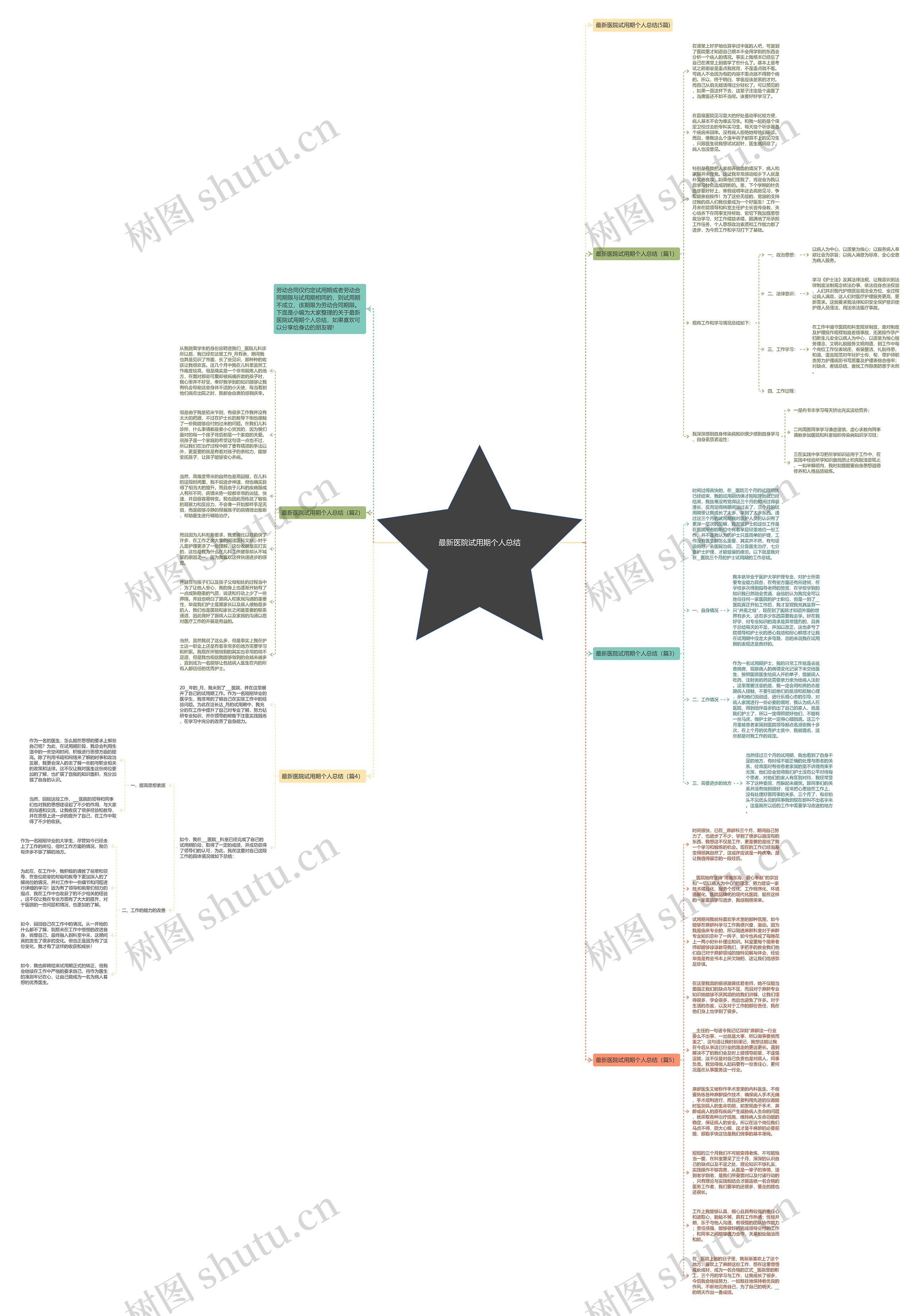 最新医院试用期个人总结思维导图