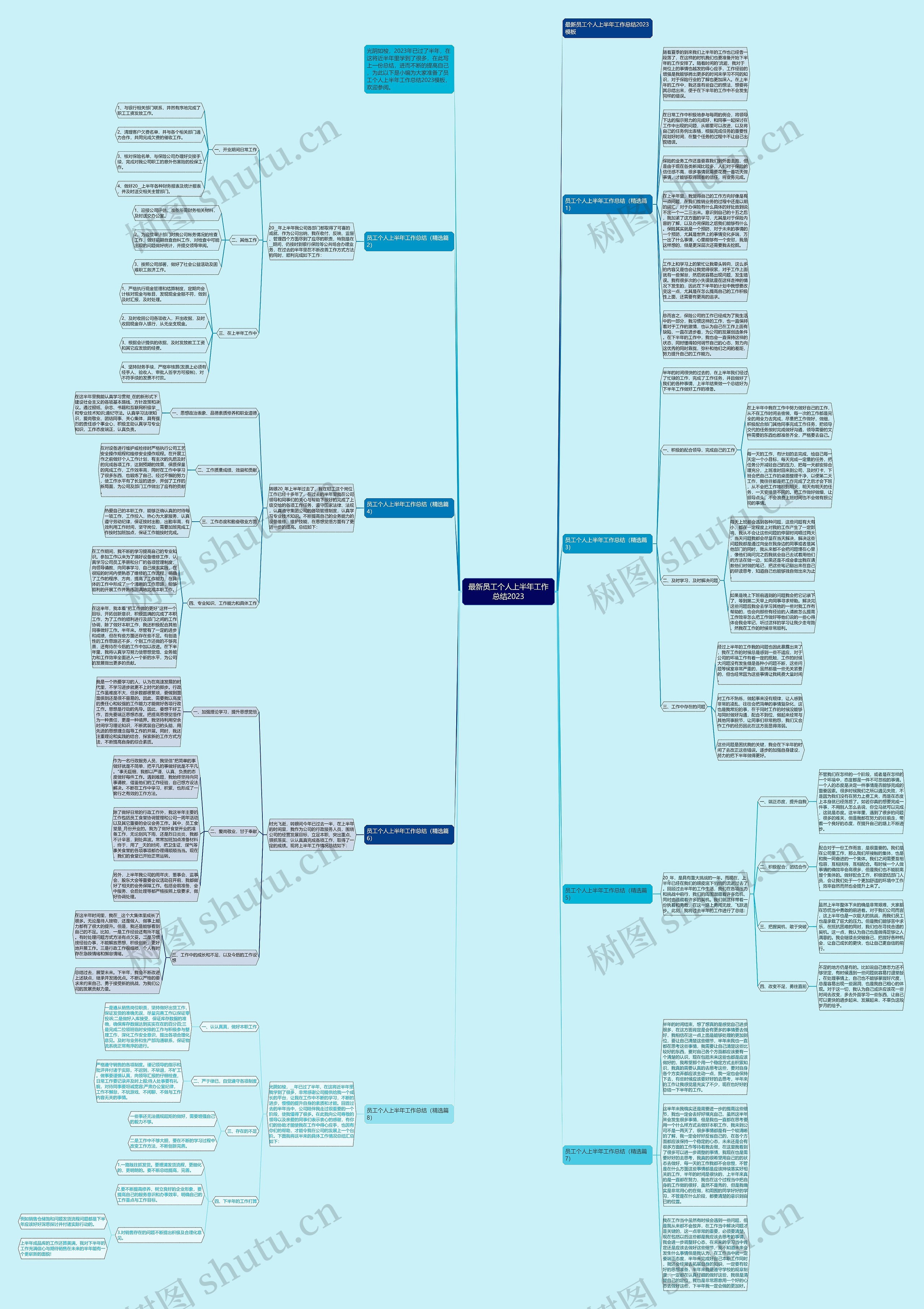 最新员工个人上半年工作总结2023思维导图