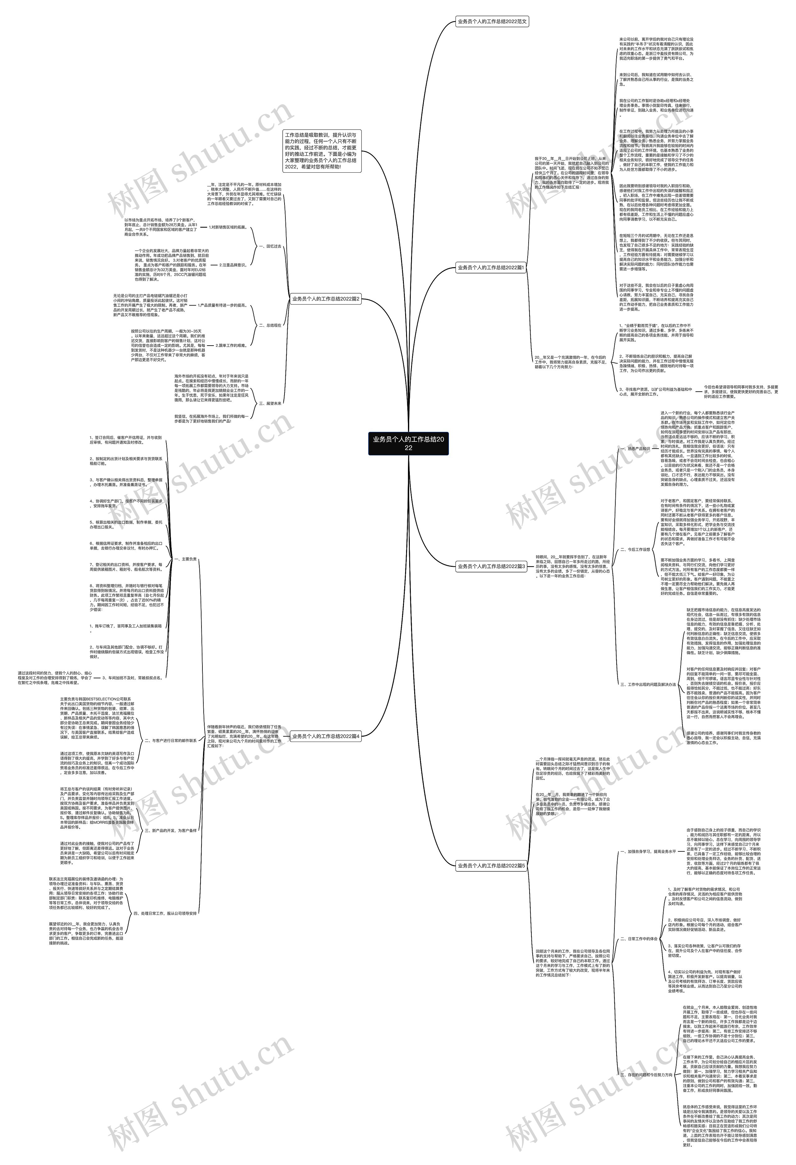 业务员个人的工作总结2022思维导图