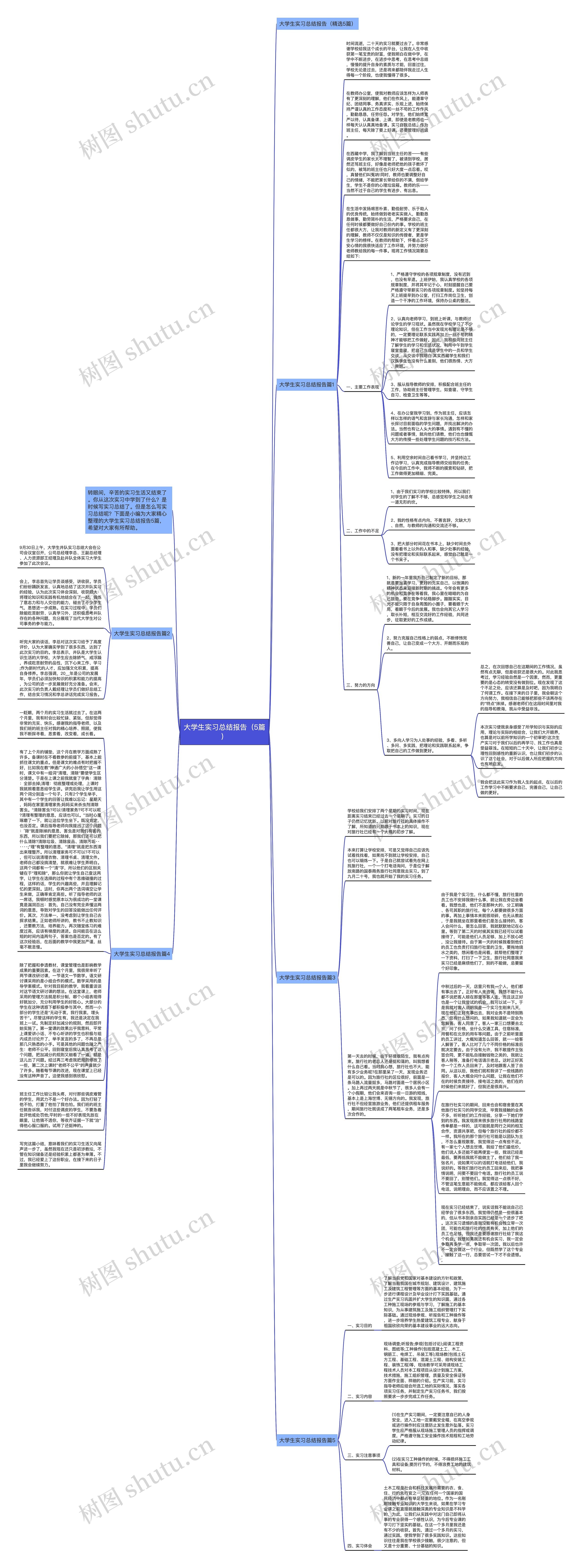 大学生实习总结报告（5篇）思维导图