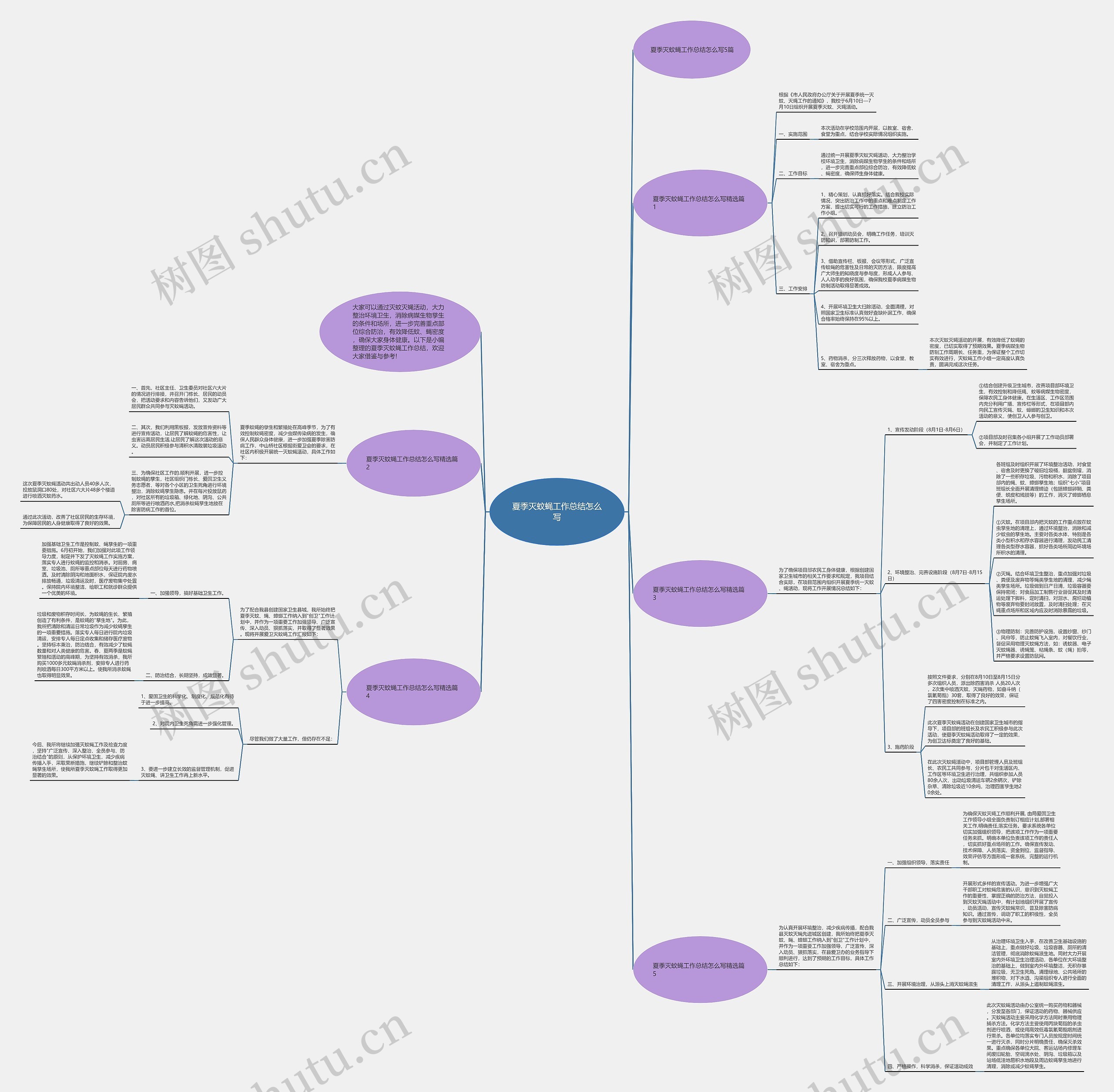 夏季灭蚊蝇工作总结怎么写思维导图