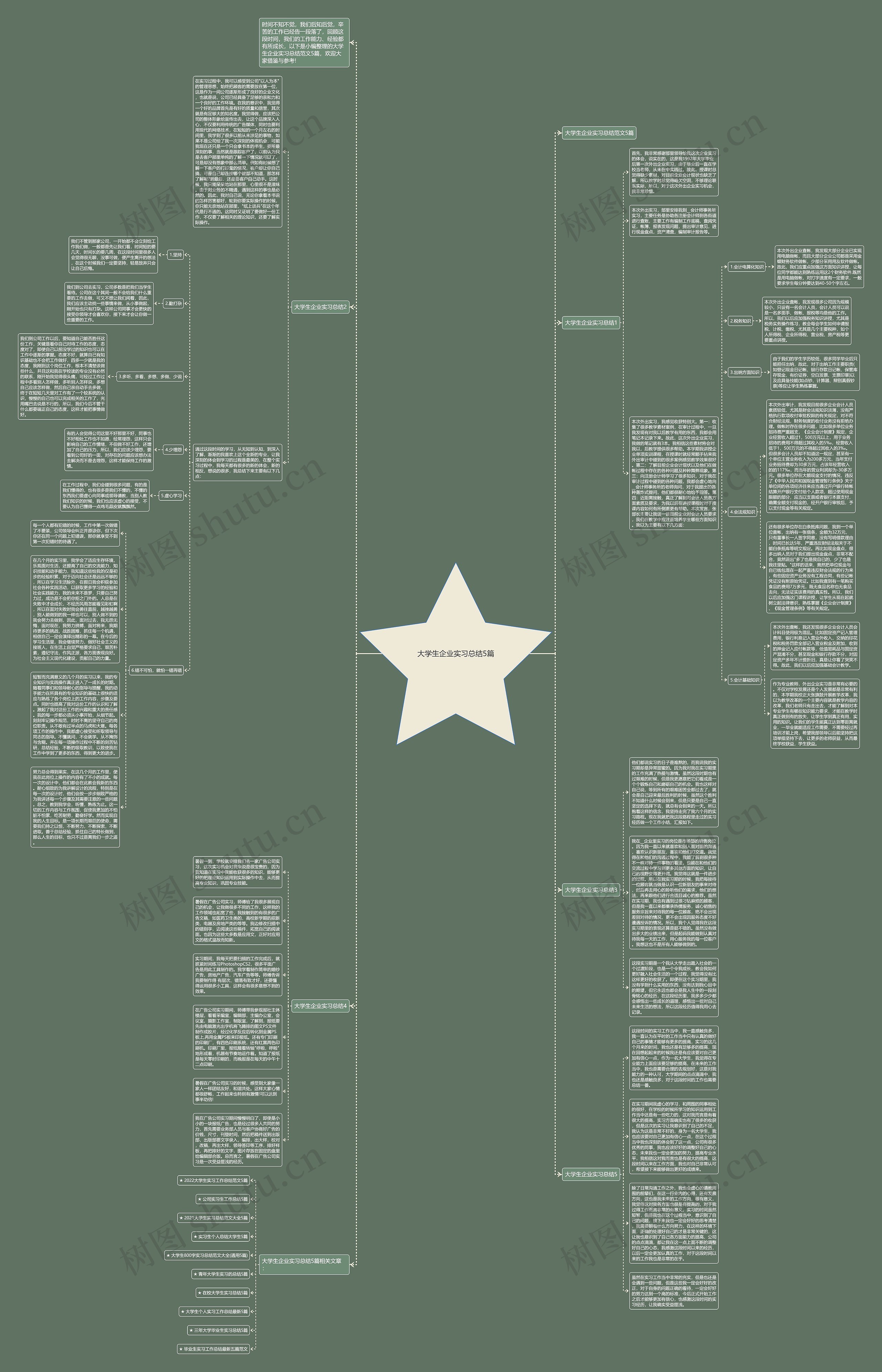 大学生企业实习总结5篇思维导图高清图 大学生企业实习总结5篇思维导图