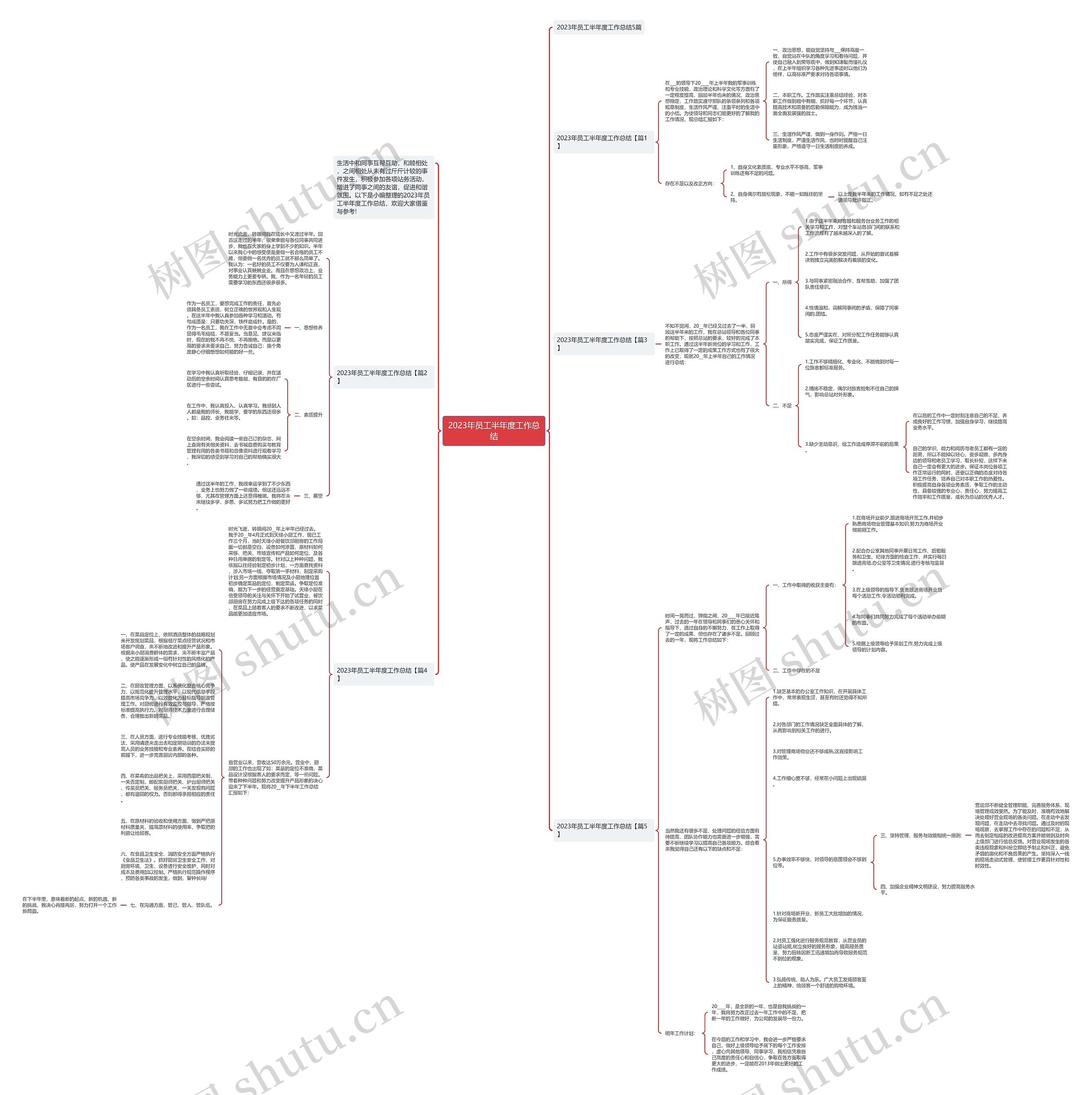 2023年员工半年度工作总结思维导图