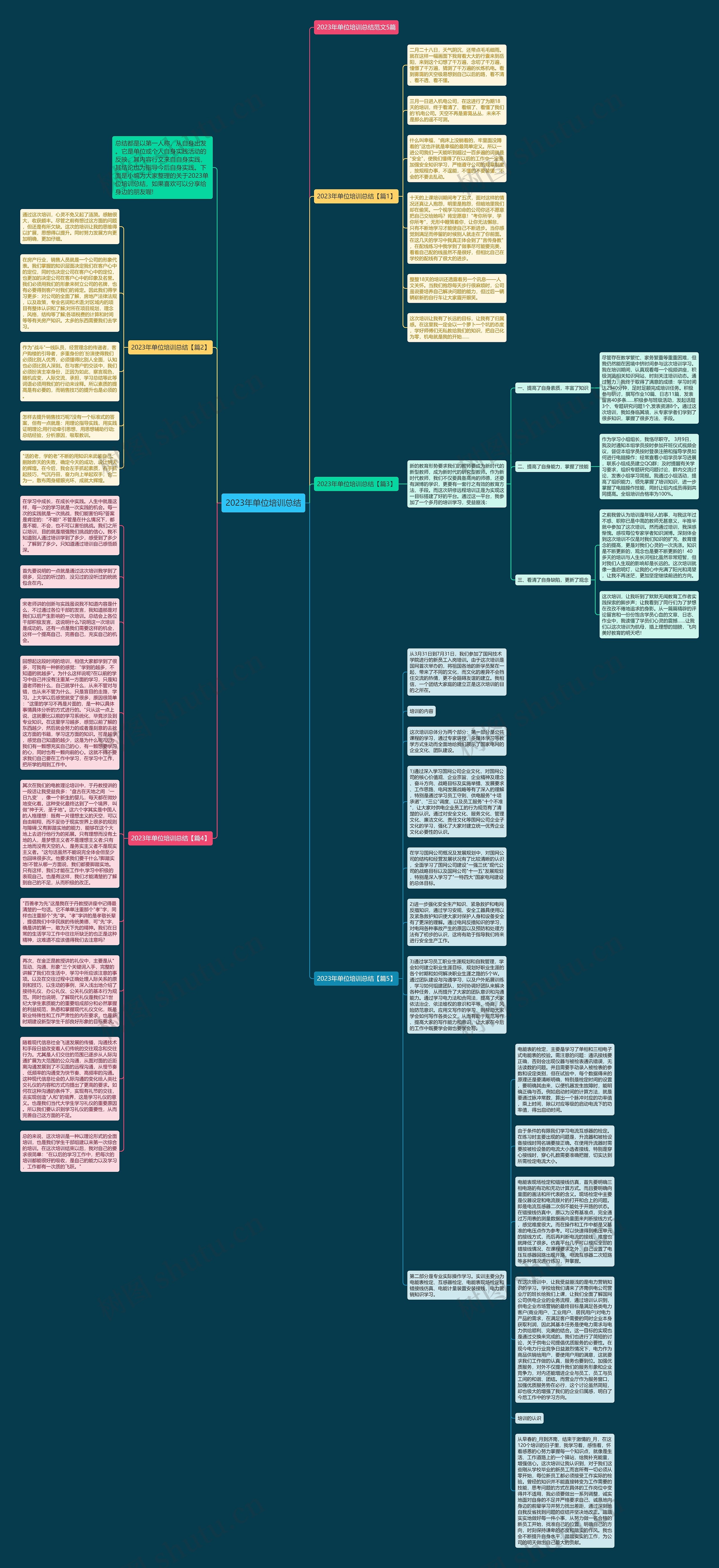 2023年单位培训总结思维导图